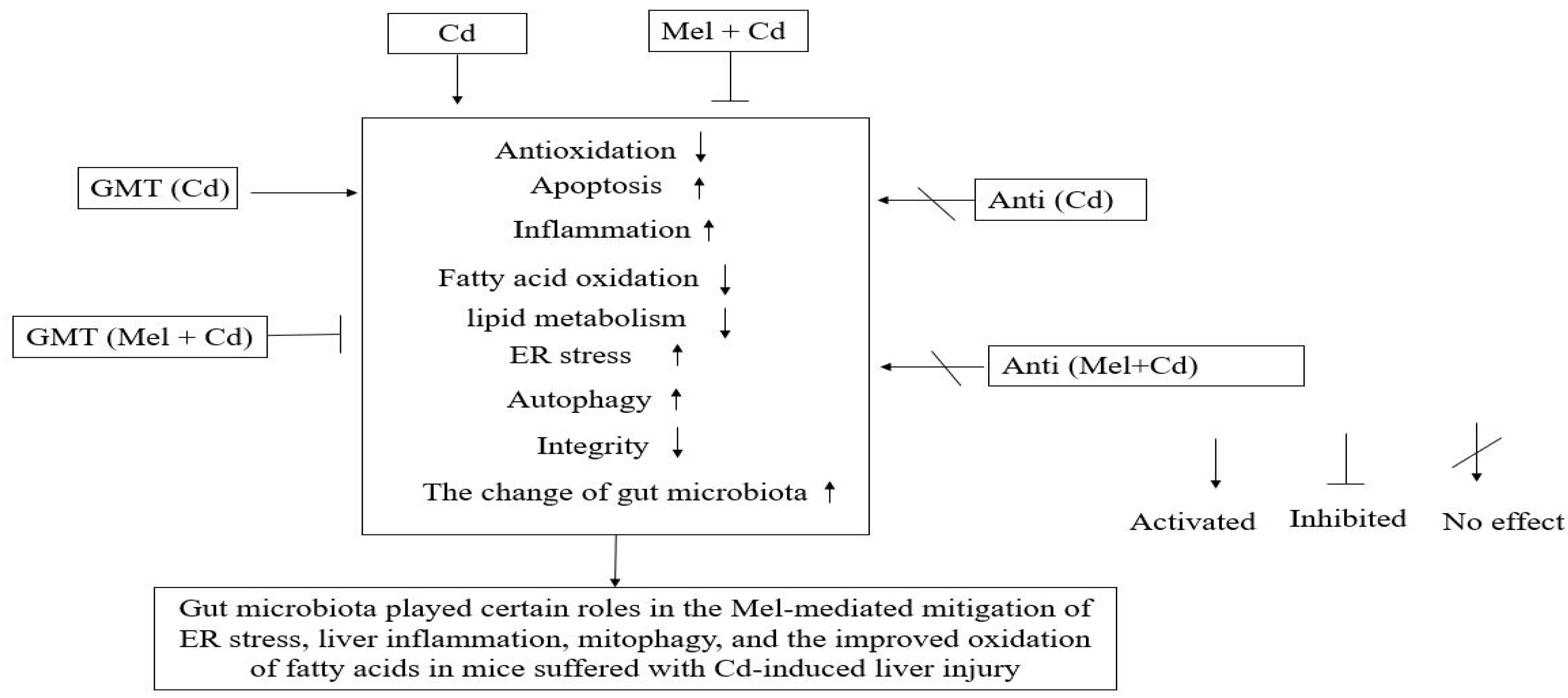 Antioxidants 11 01727 g010