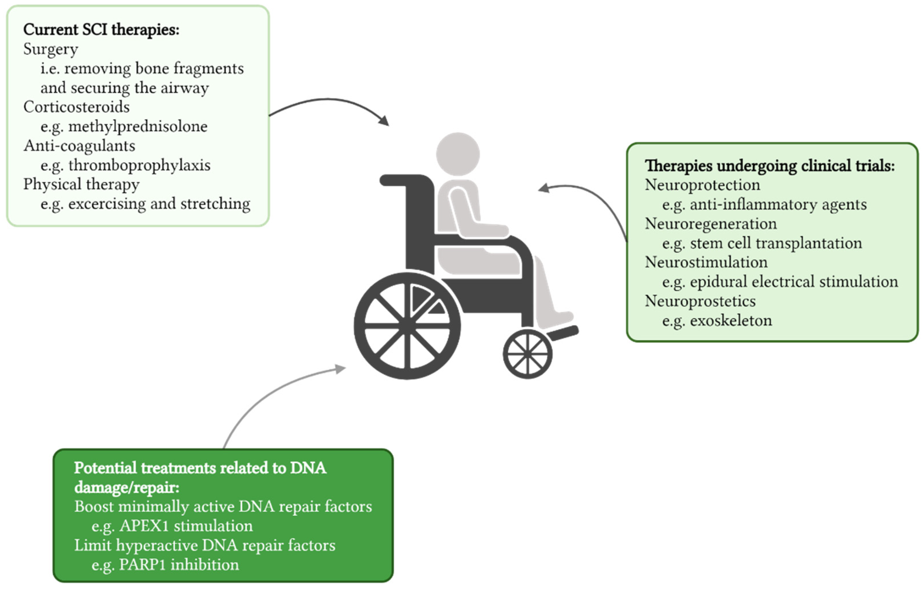 Antioxidants 11 01728 g004