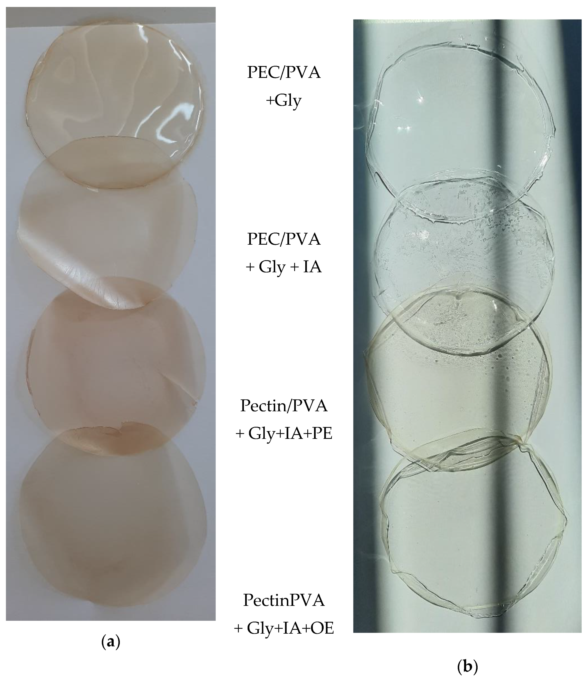 Antioxidants 11 01729 g003