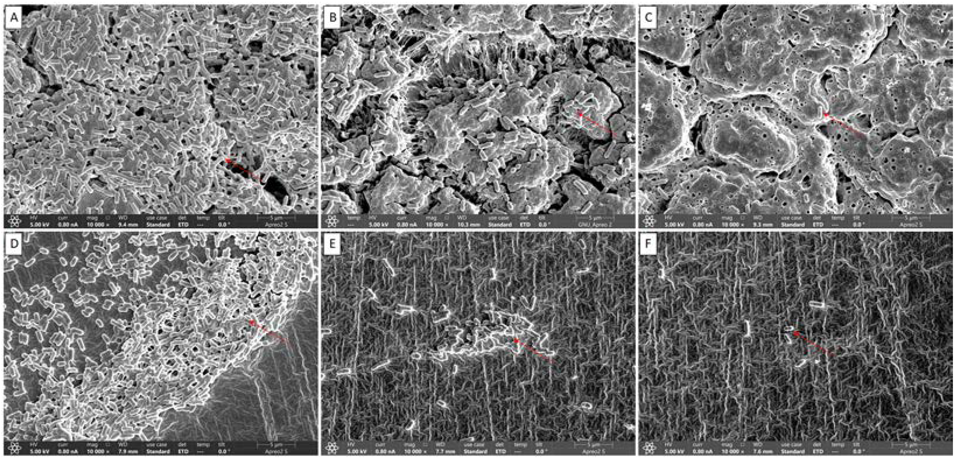 Antioxidants 11 01733 g006