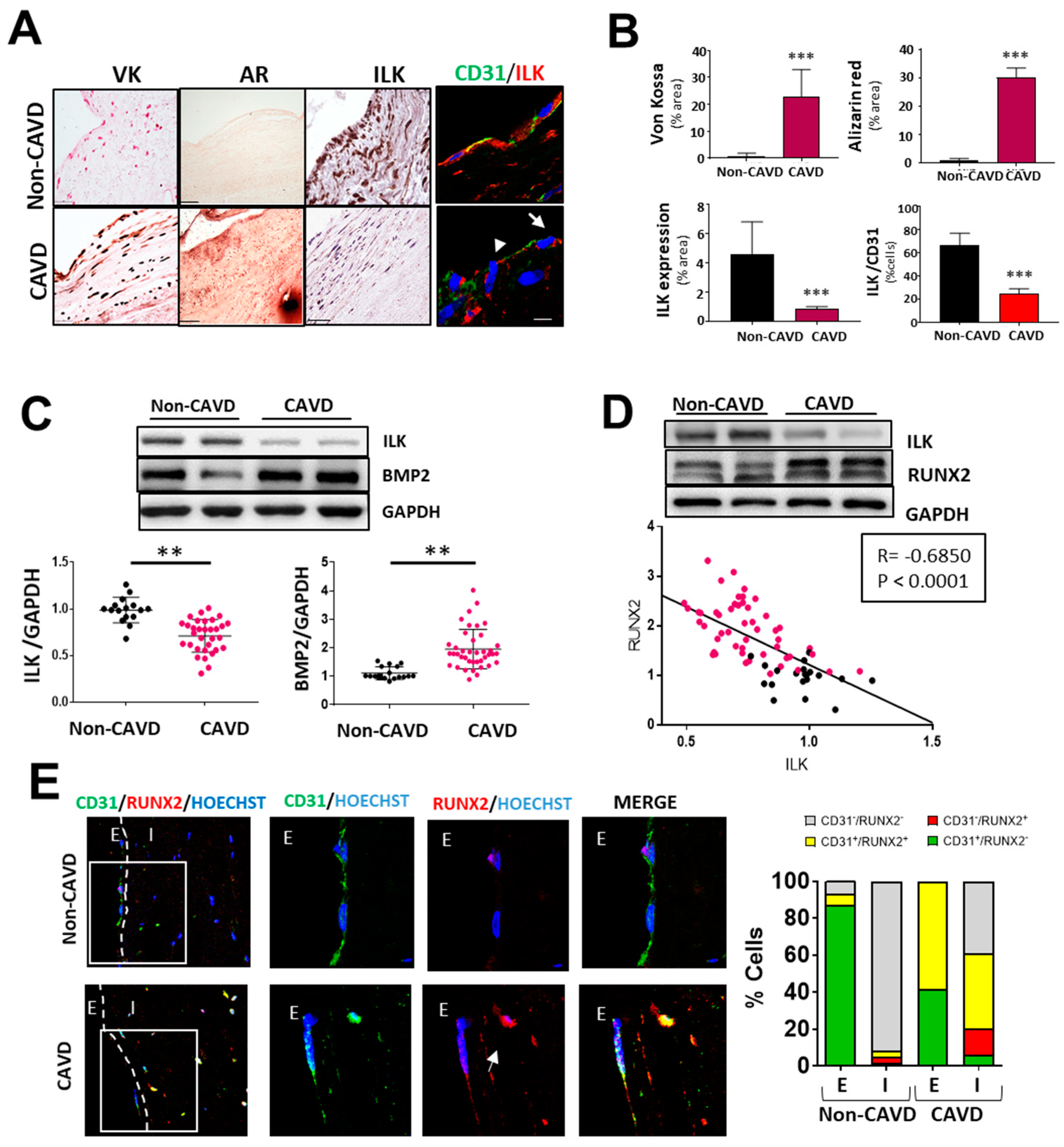 Antioxidants 11 01736 g001