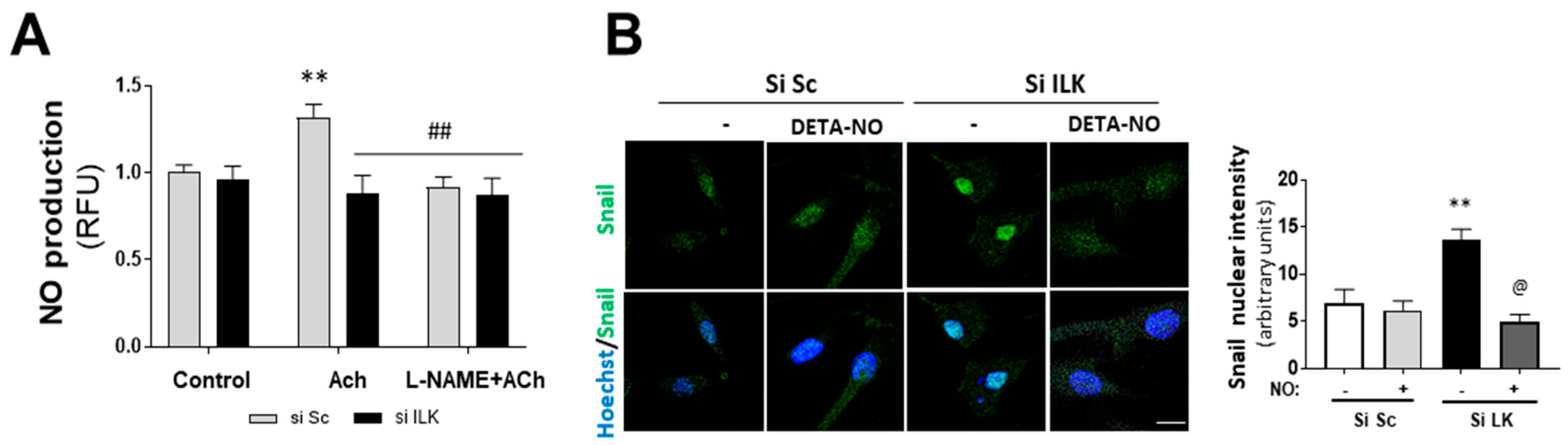 Antioxidants 11 01736 g003a