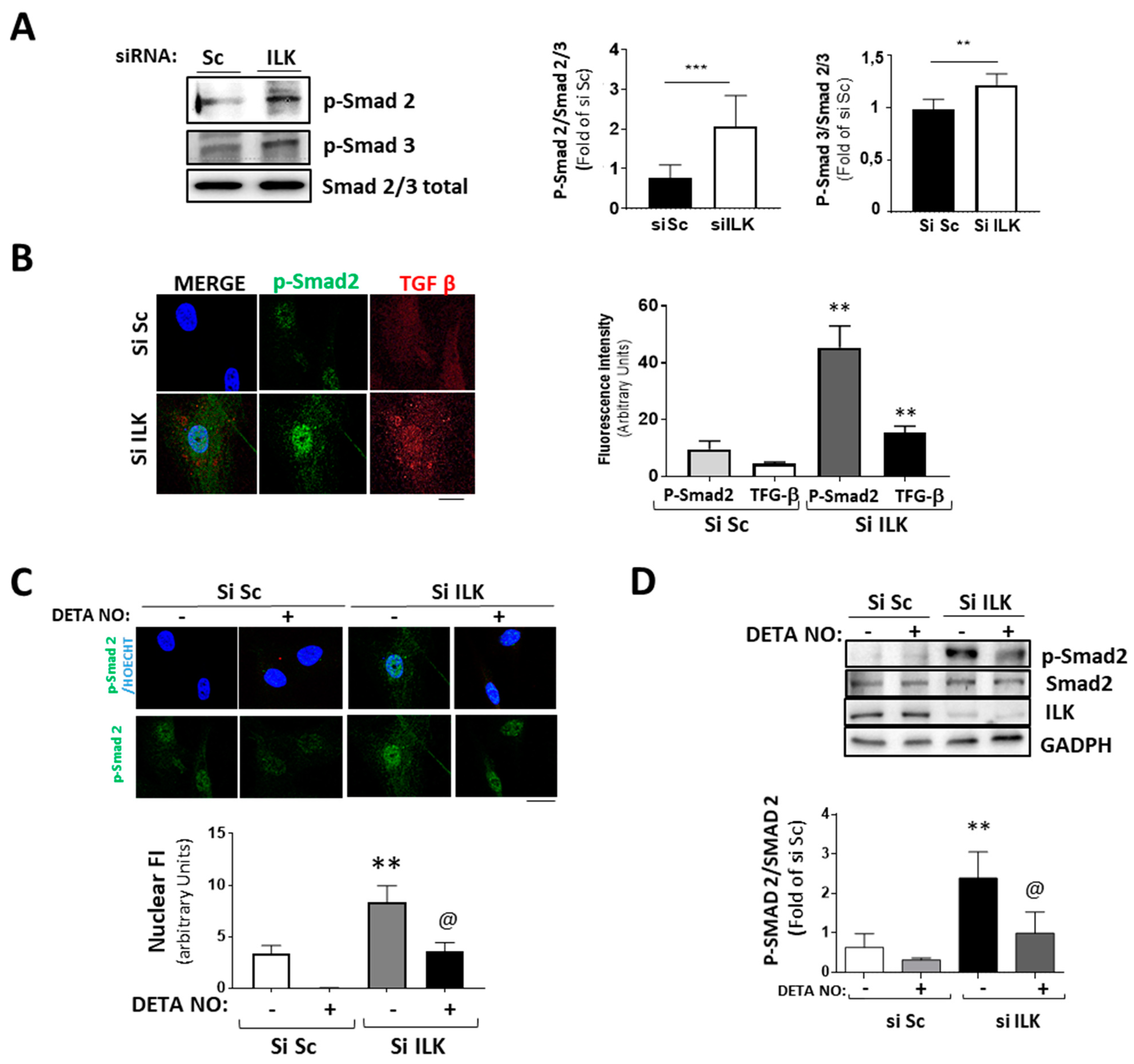 Antioxidants 11 01736 g005