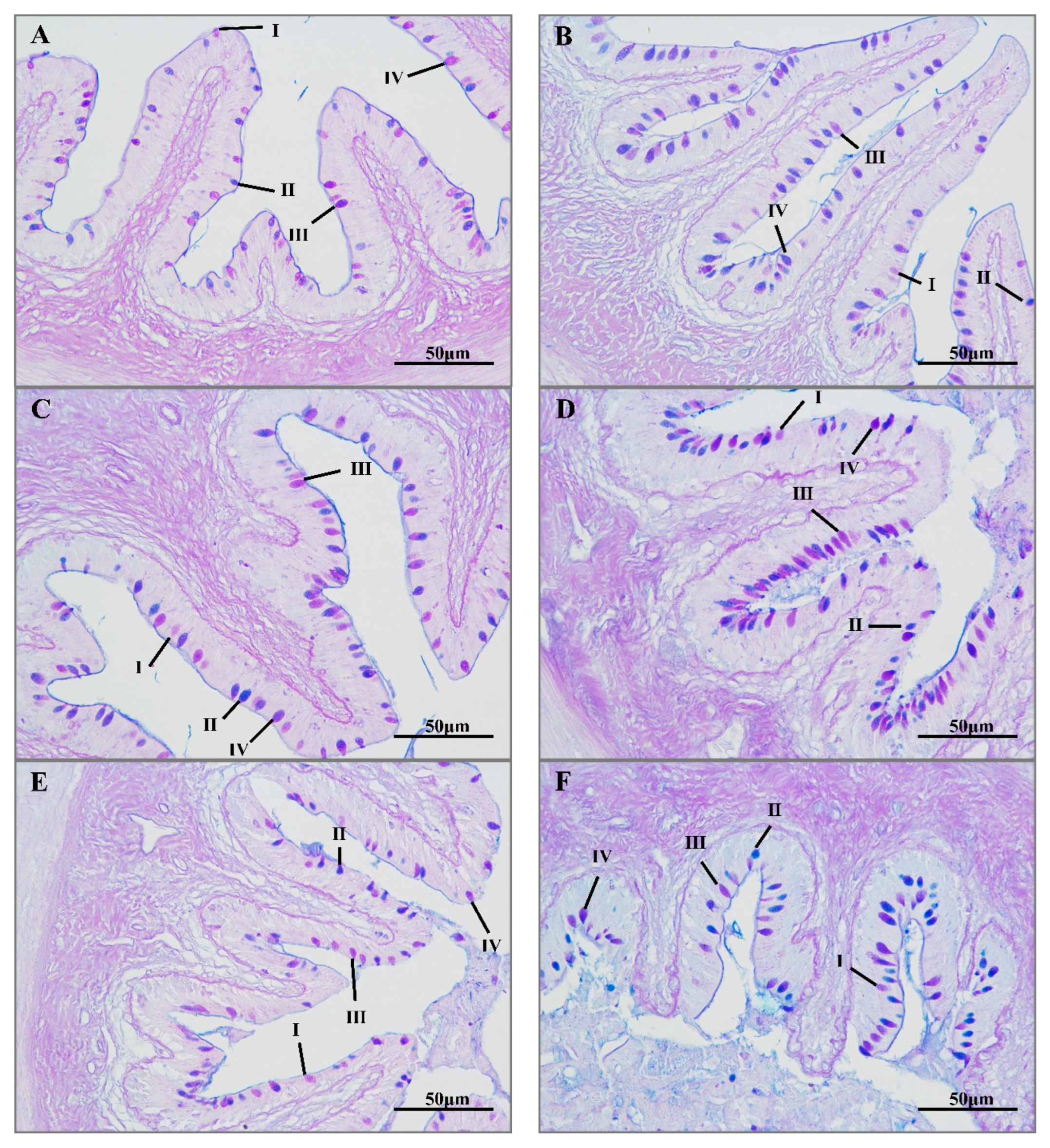 Antioxidants 11 01737 g002