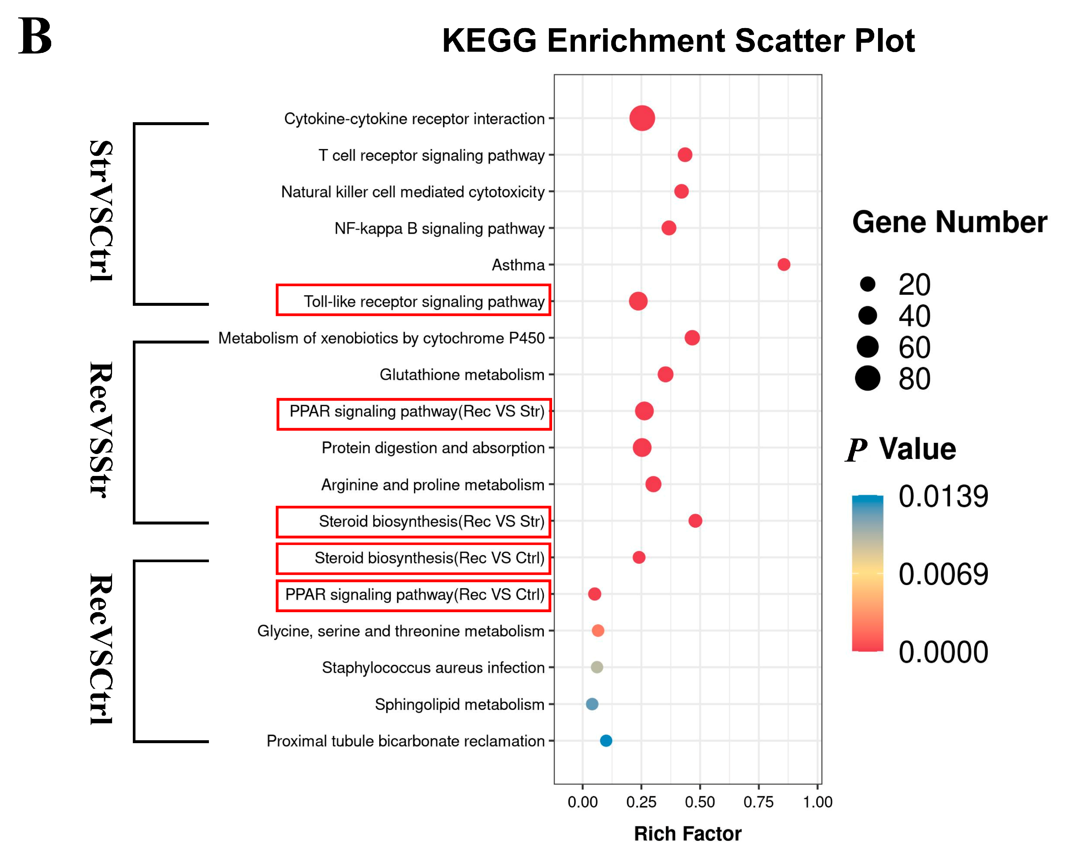 Antioxidants 11 01737 g004b