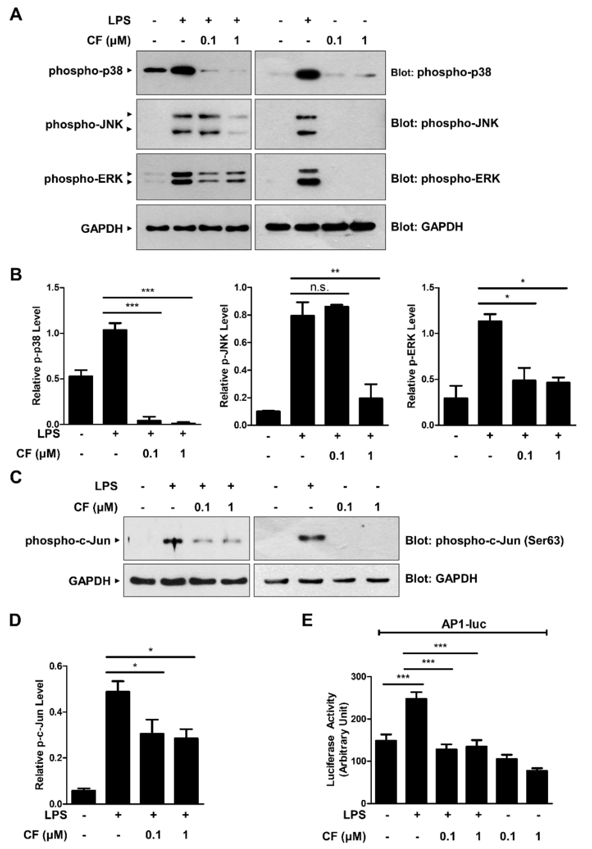 Antioxidants 11 01740 g003