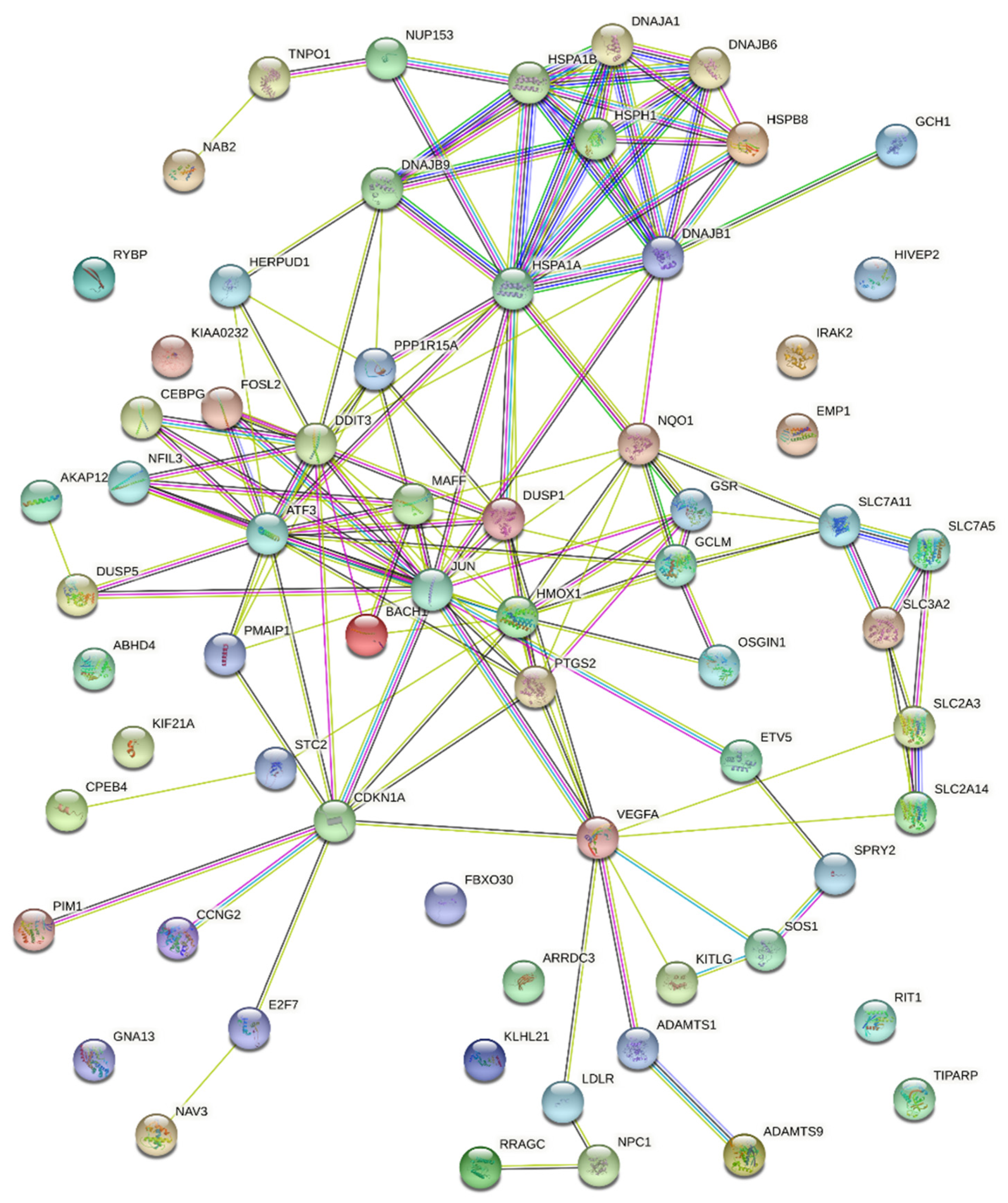 Antioxidants 11 01741 g005