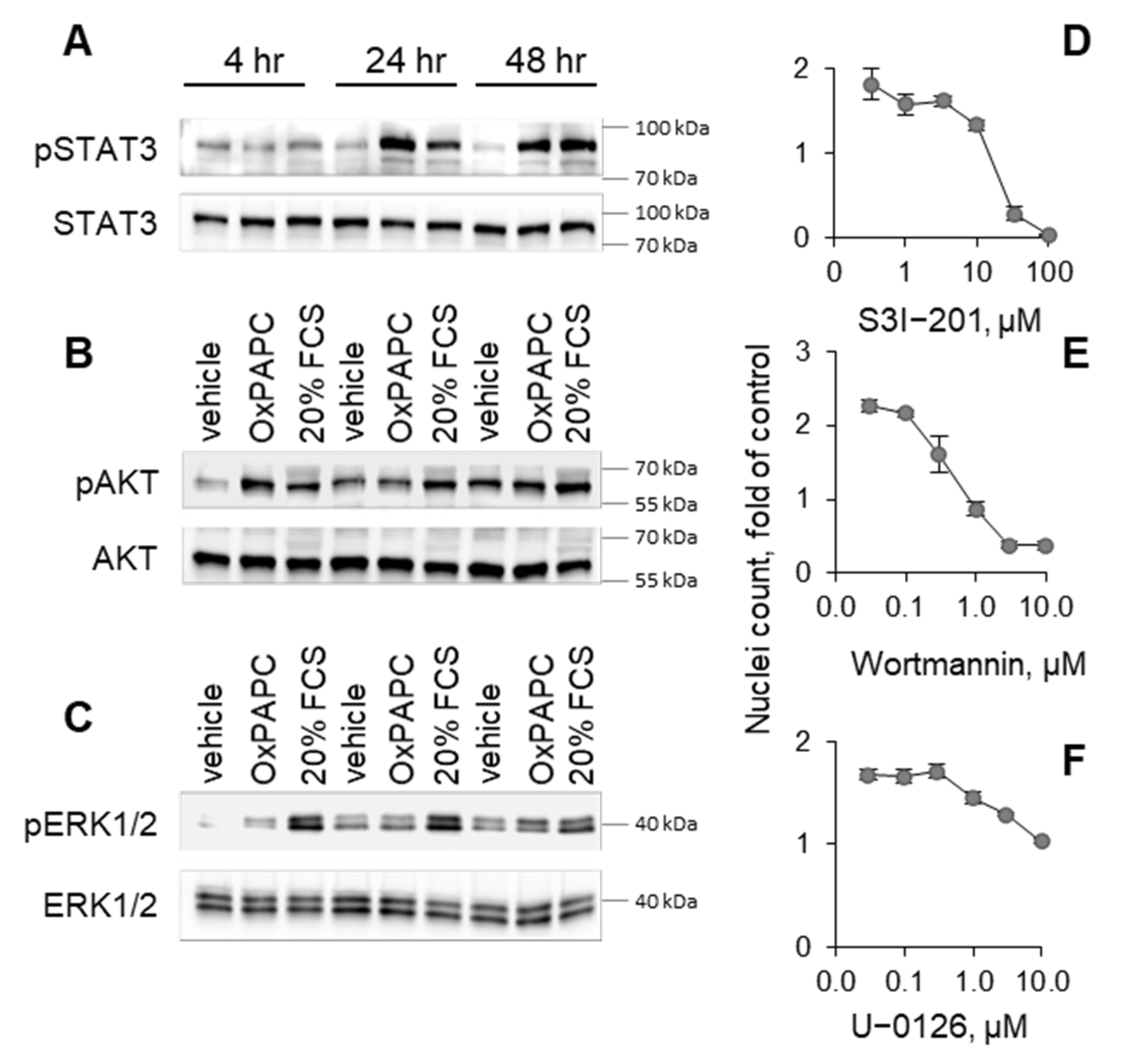 Antioxidants 11 01741 g009