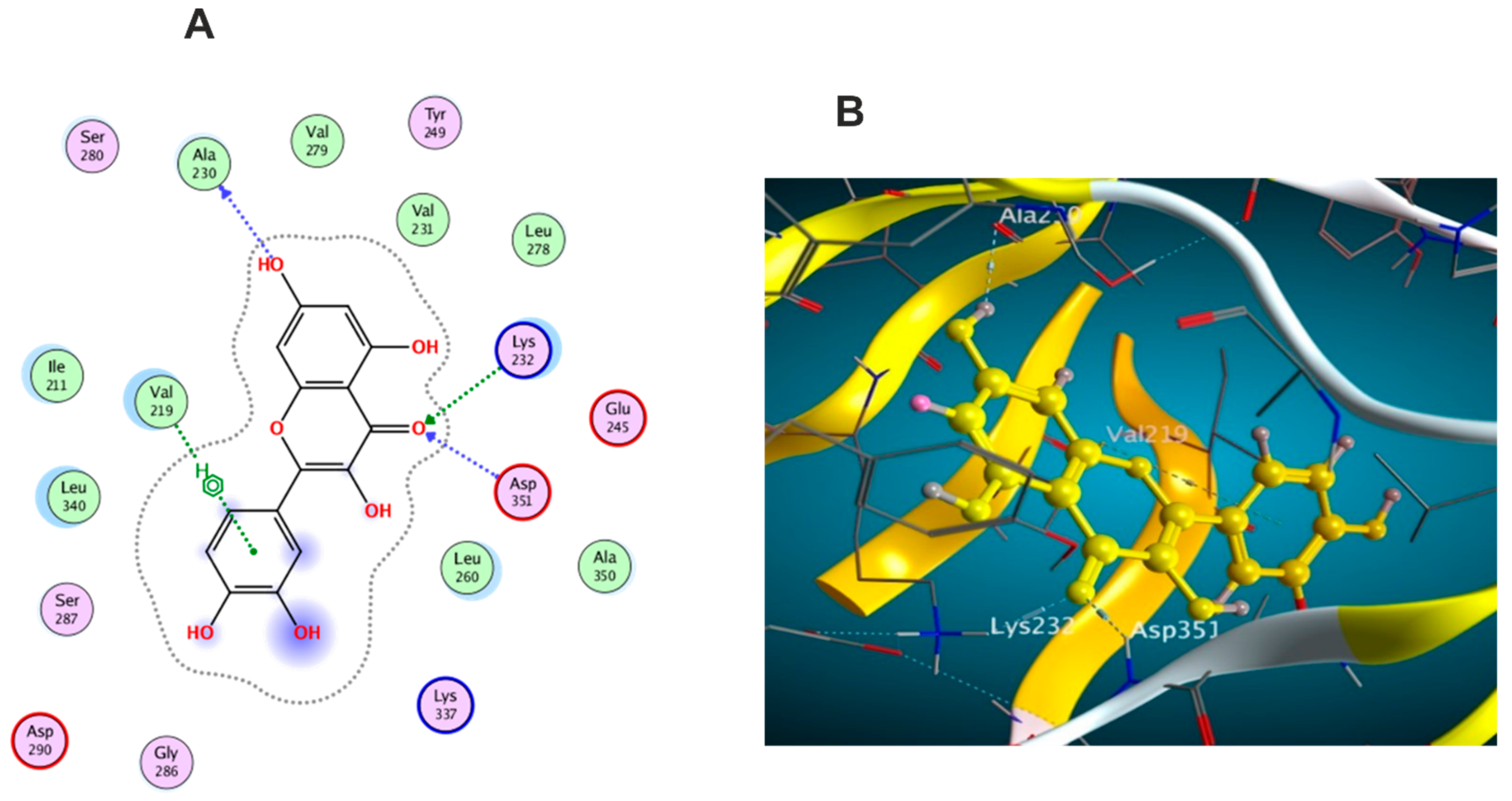 Antioxidants 11 01743 g011