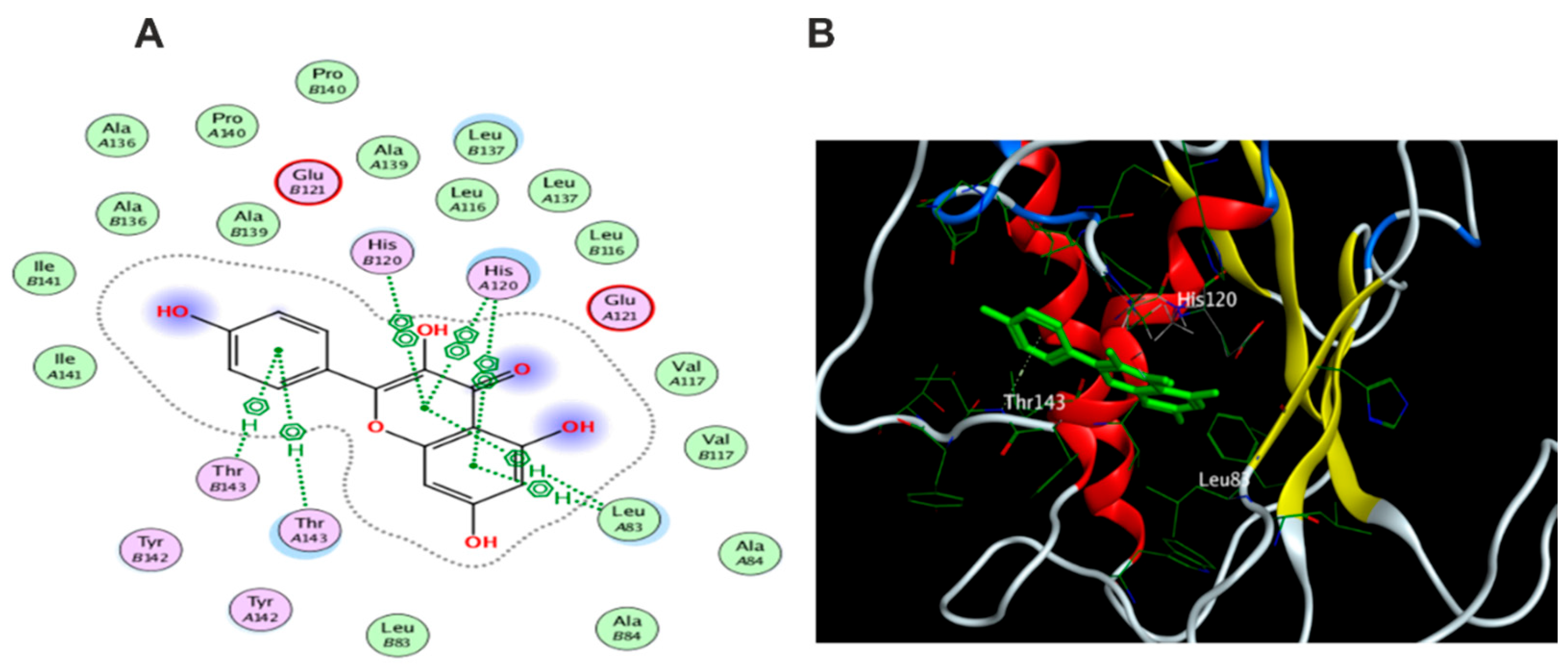 Antioxidants 11 01743 g021