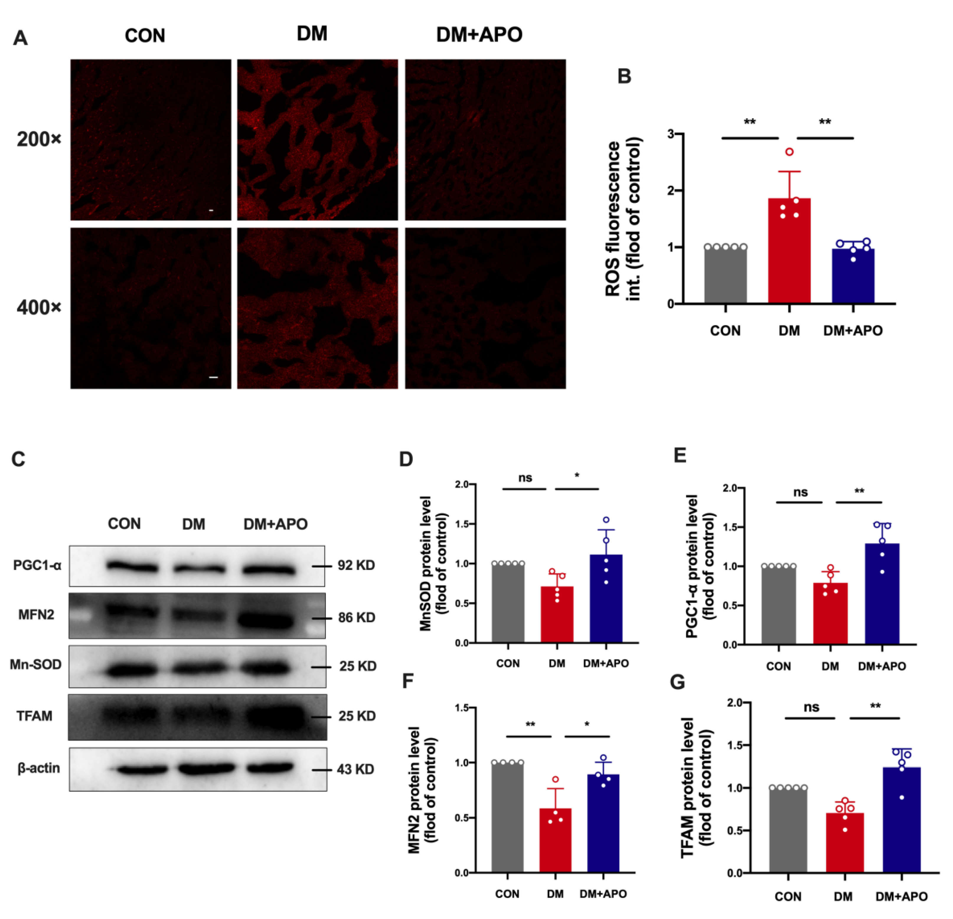 Antioxidants 11 01745 g003