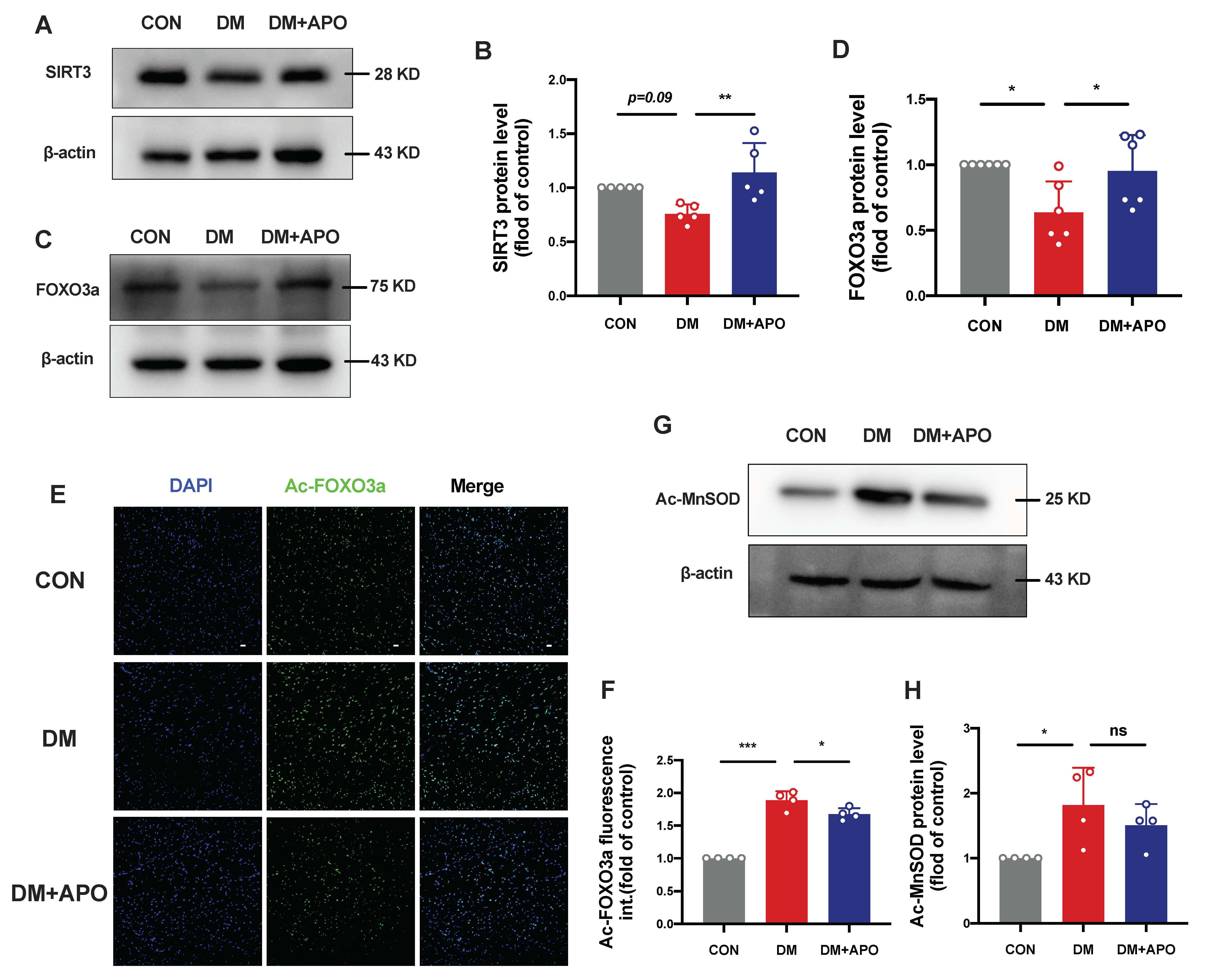 Antioxidants 11 01745 g004