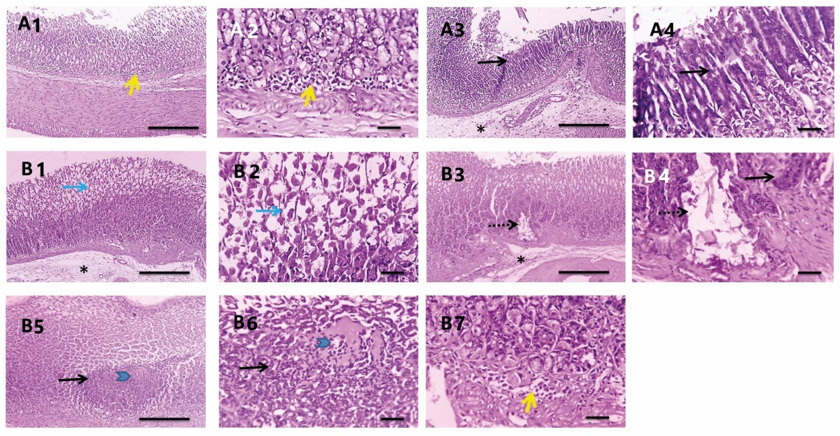 Antioxidants 11 01752 g008