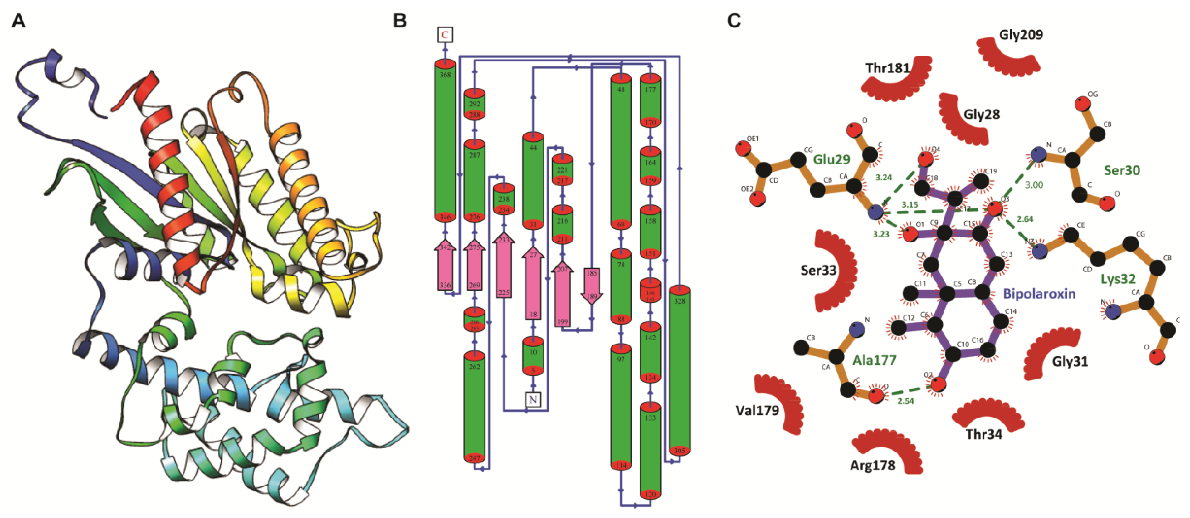 Antioxidants 11 01754 g001