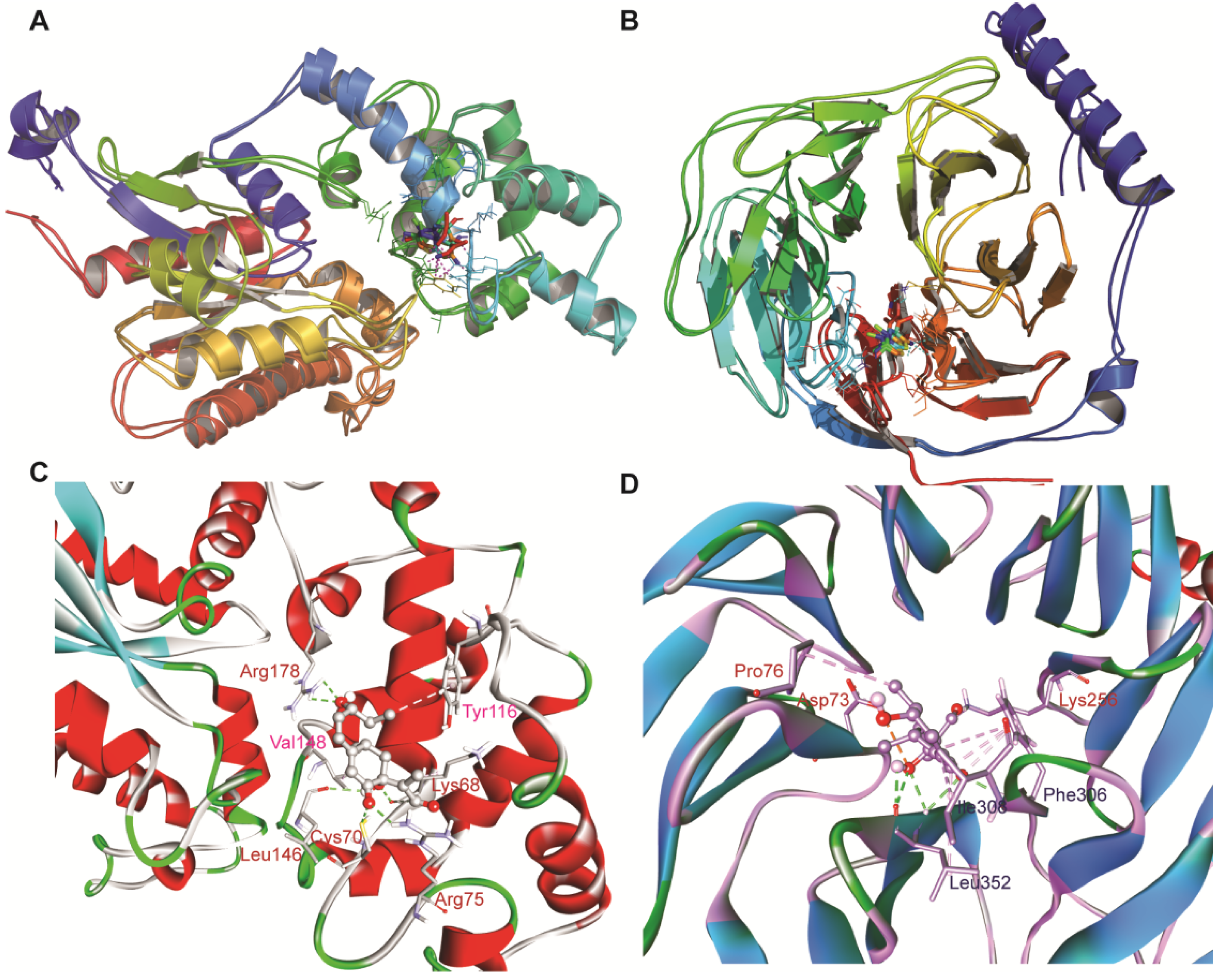 Antioxidants 11 01754 g007