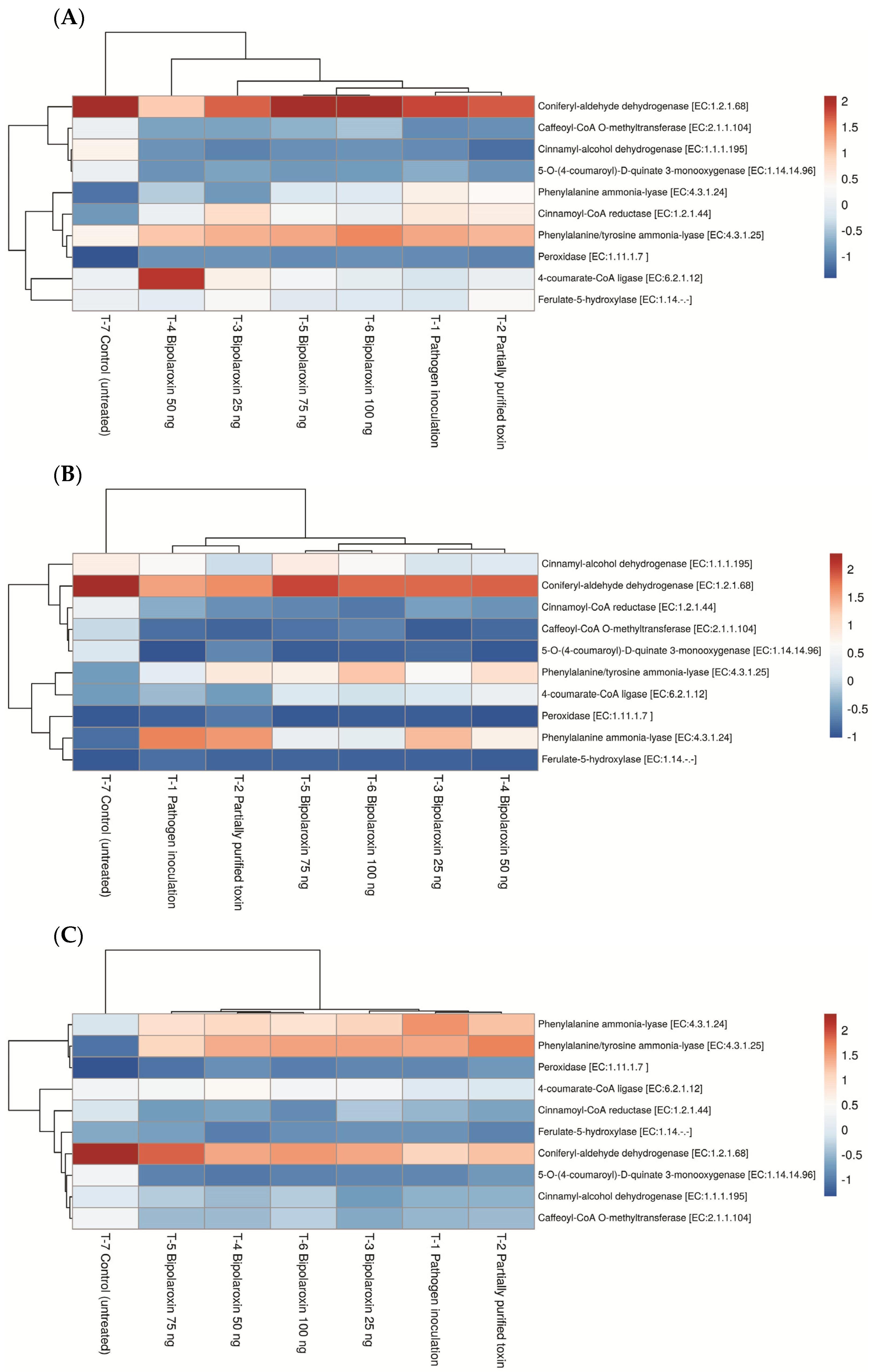 Antioxidants 11 01754 g011