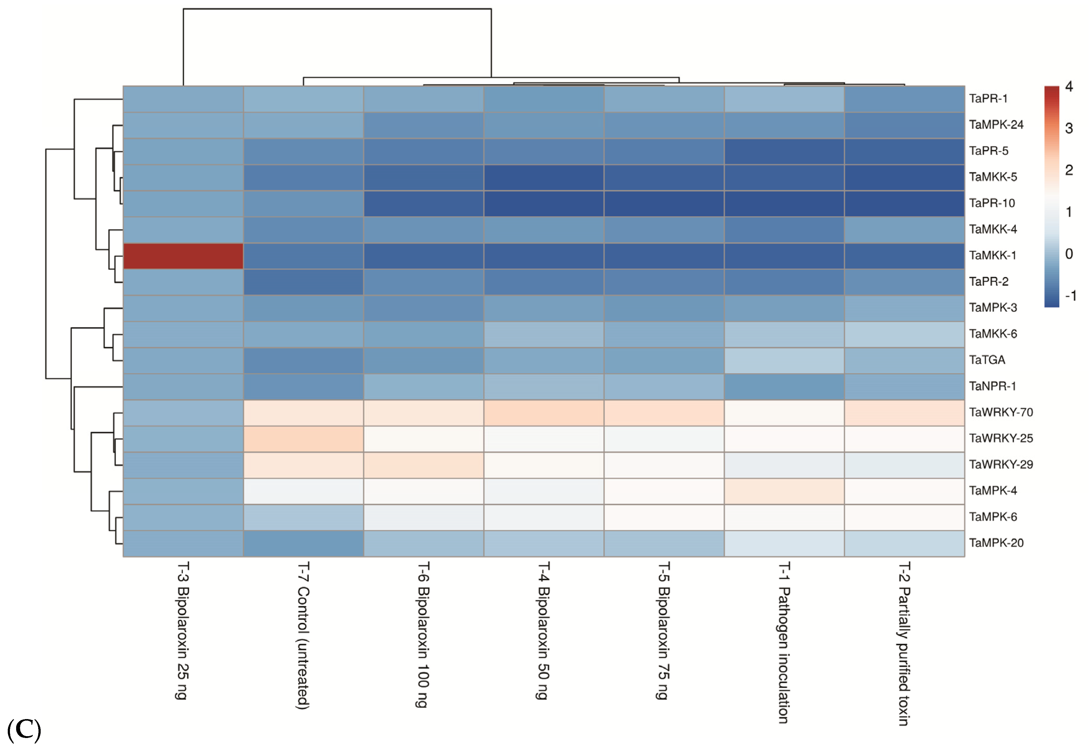 Antioxidants 11 01754 g012b