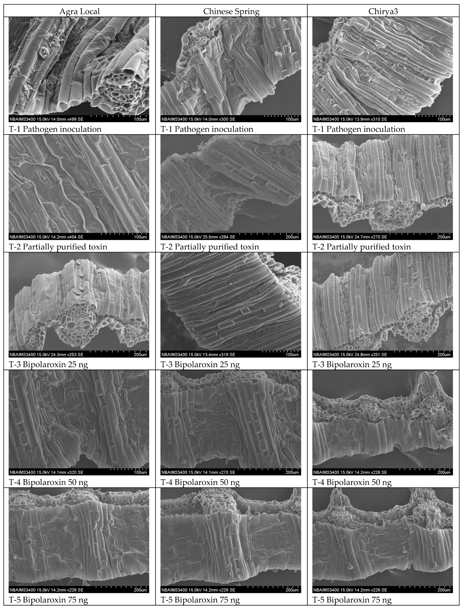 Antioxidants 11 01754 g015a