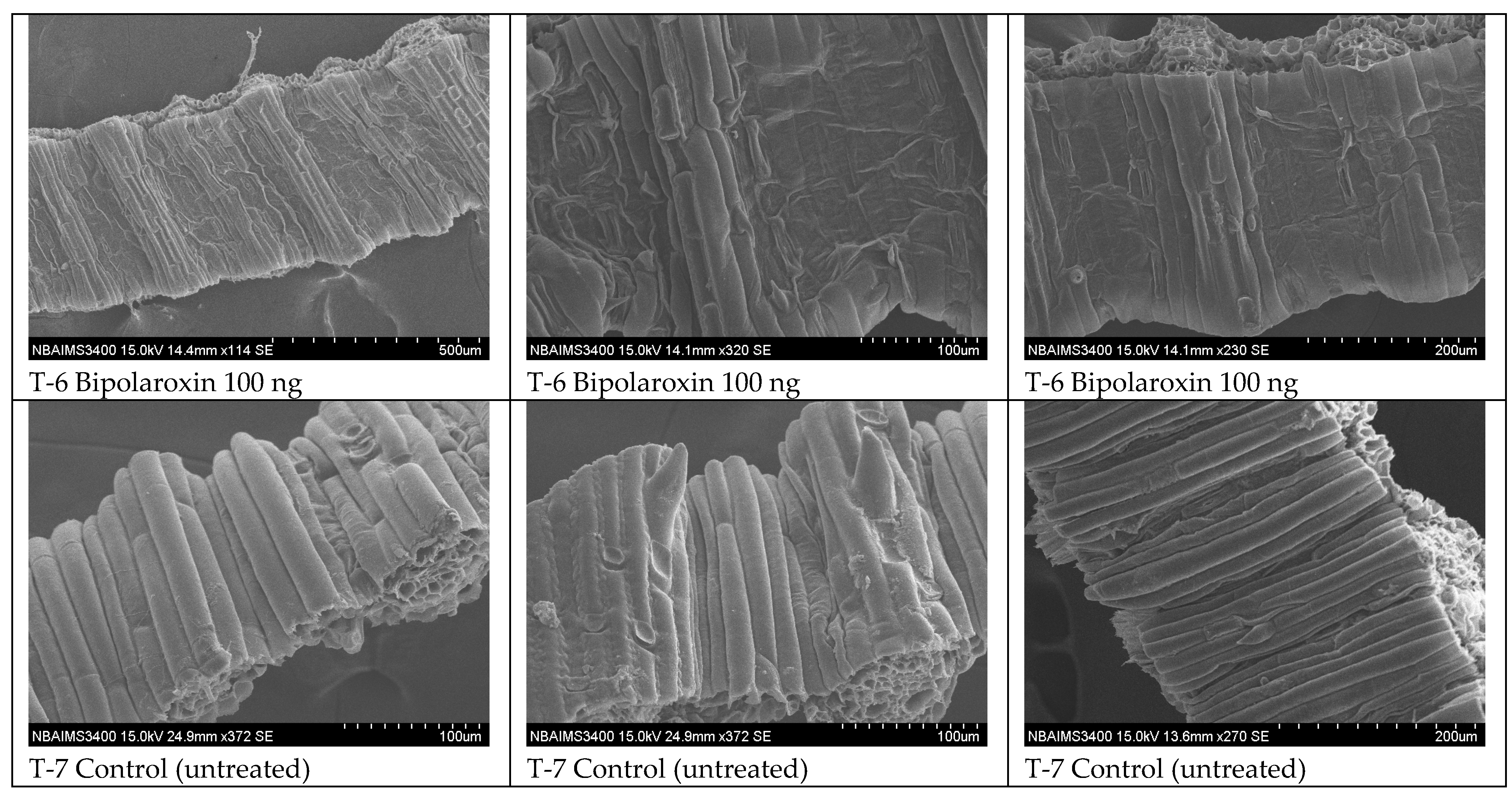 Antioxidants 11 01754 g015b