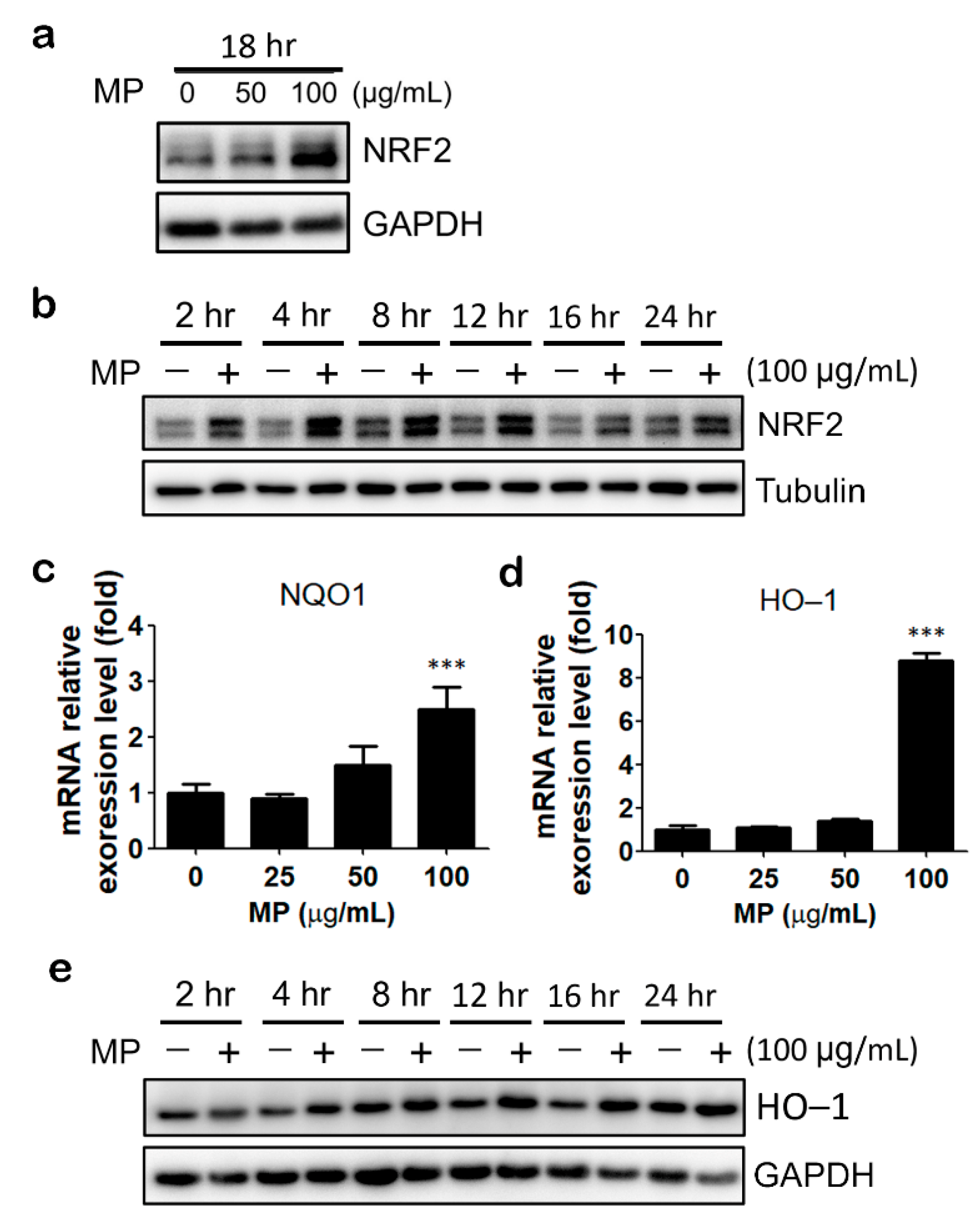Antioxidants 11 01755 g002