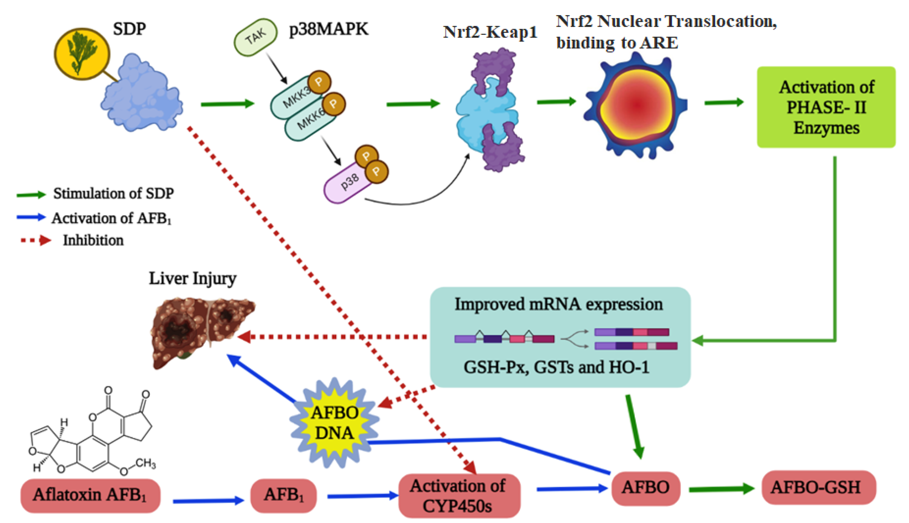Antioxidants 11 01757 g008