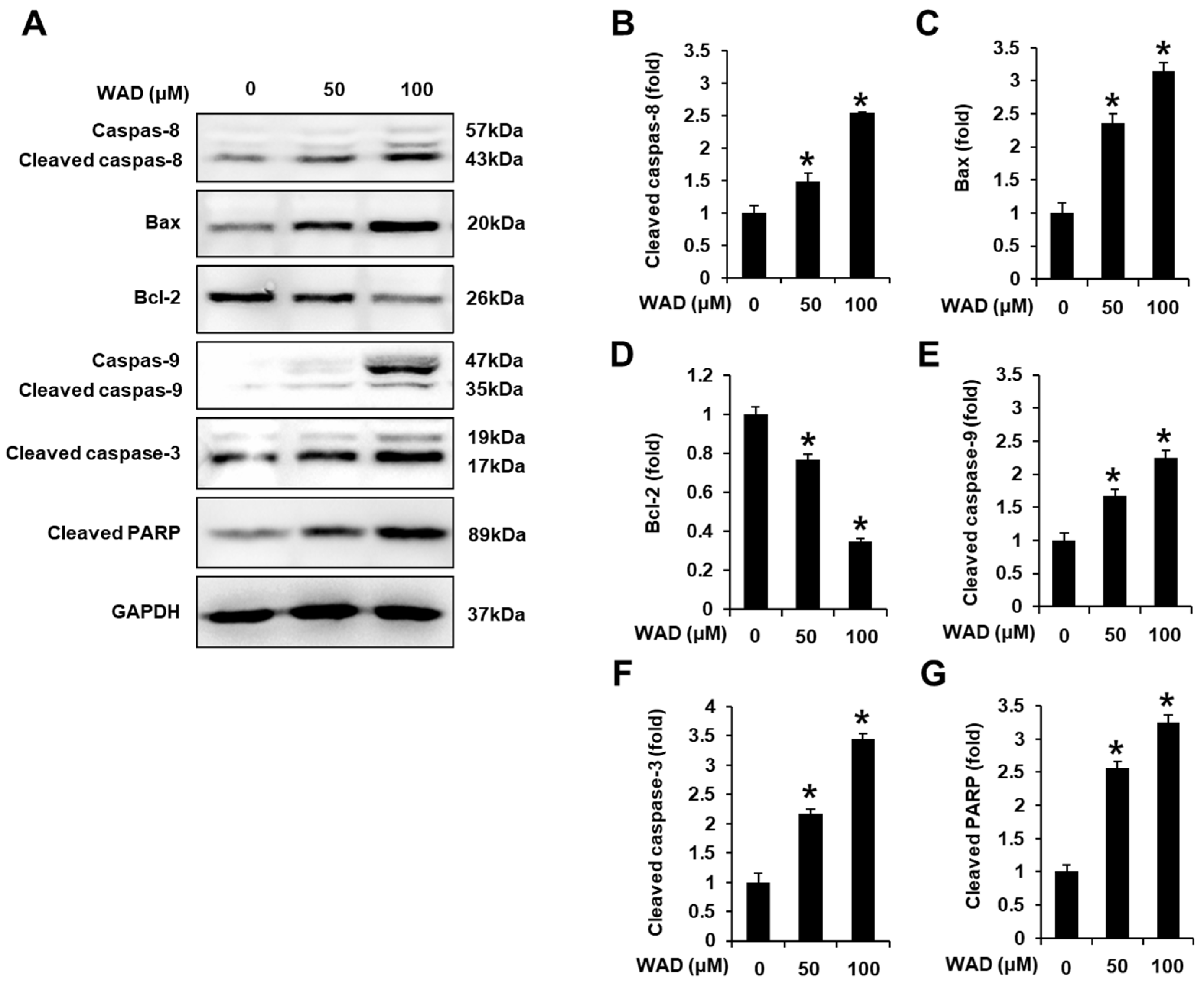 Antioxidants 11 01761 g008