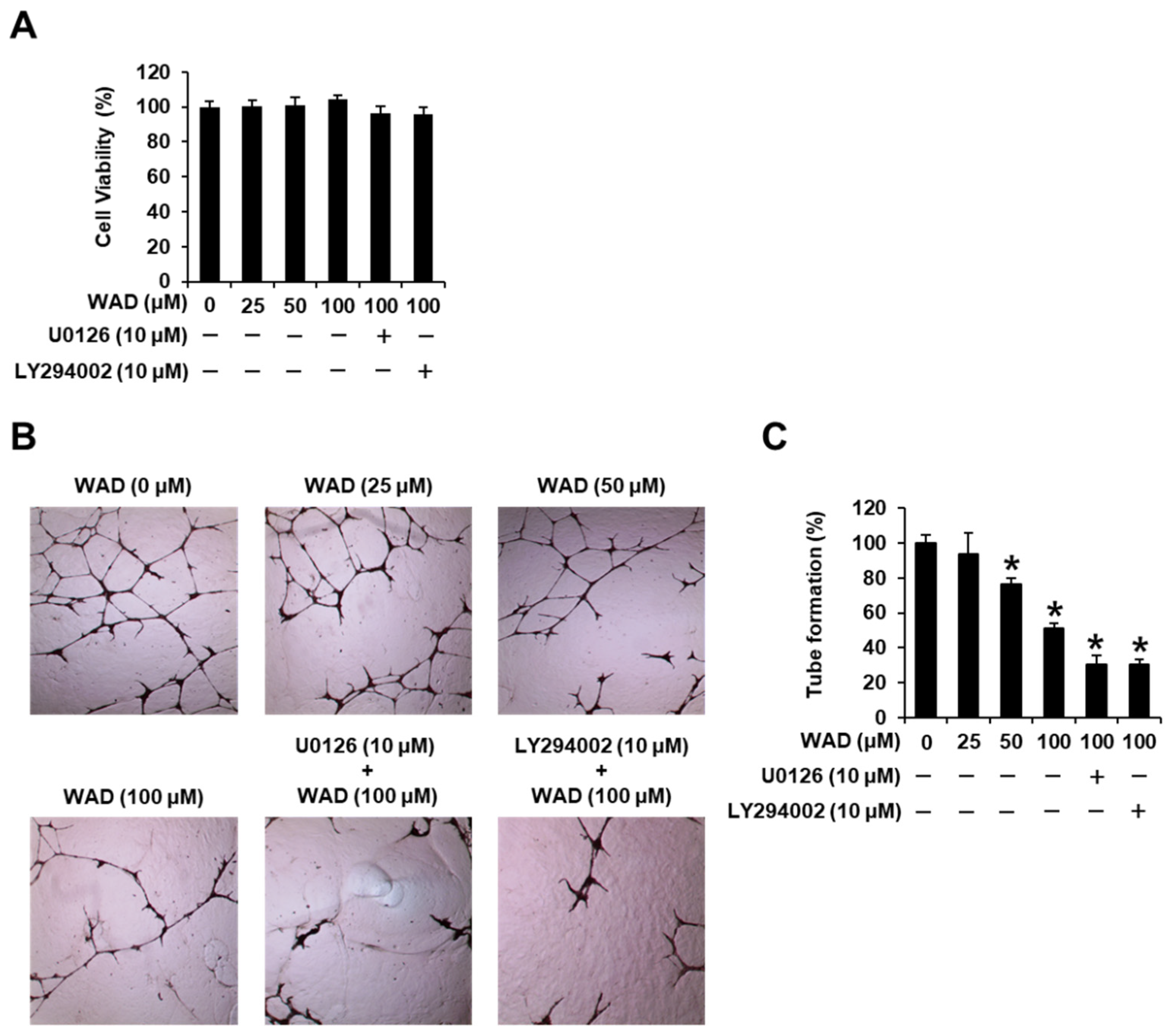 Antioxidants 11 01761 g009