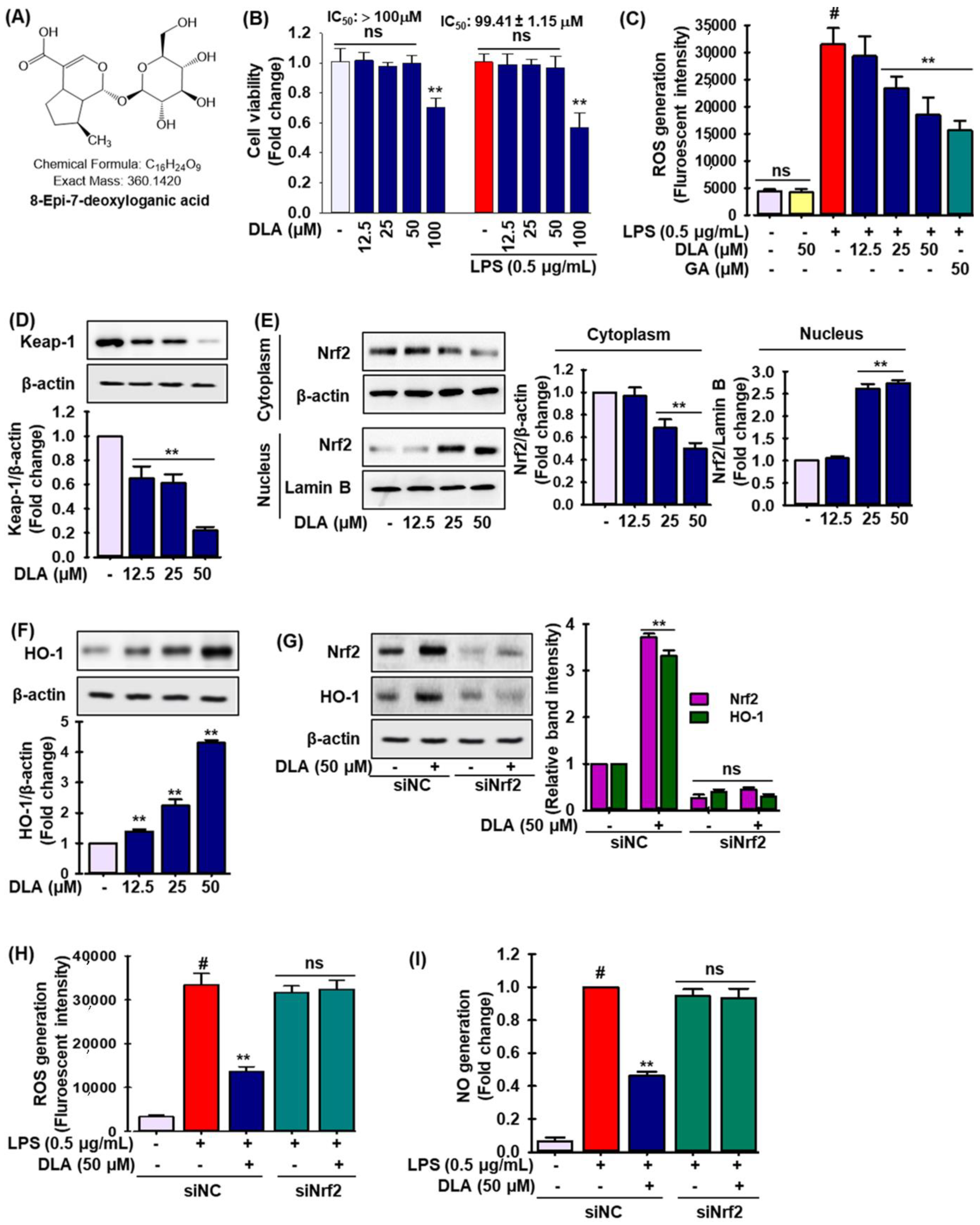 Antioxidants 11 01765 g001