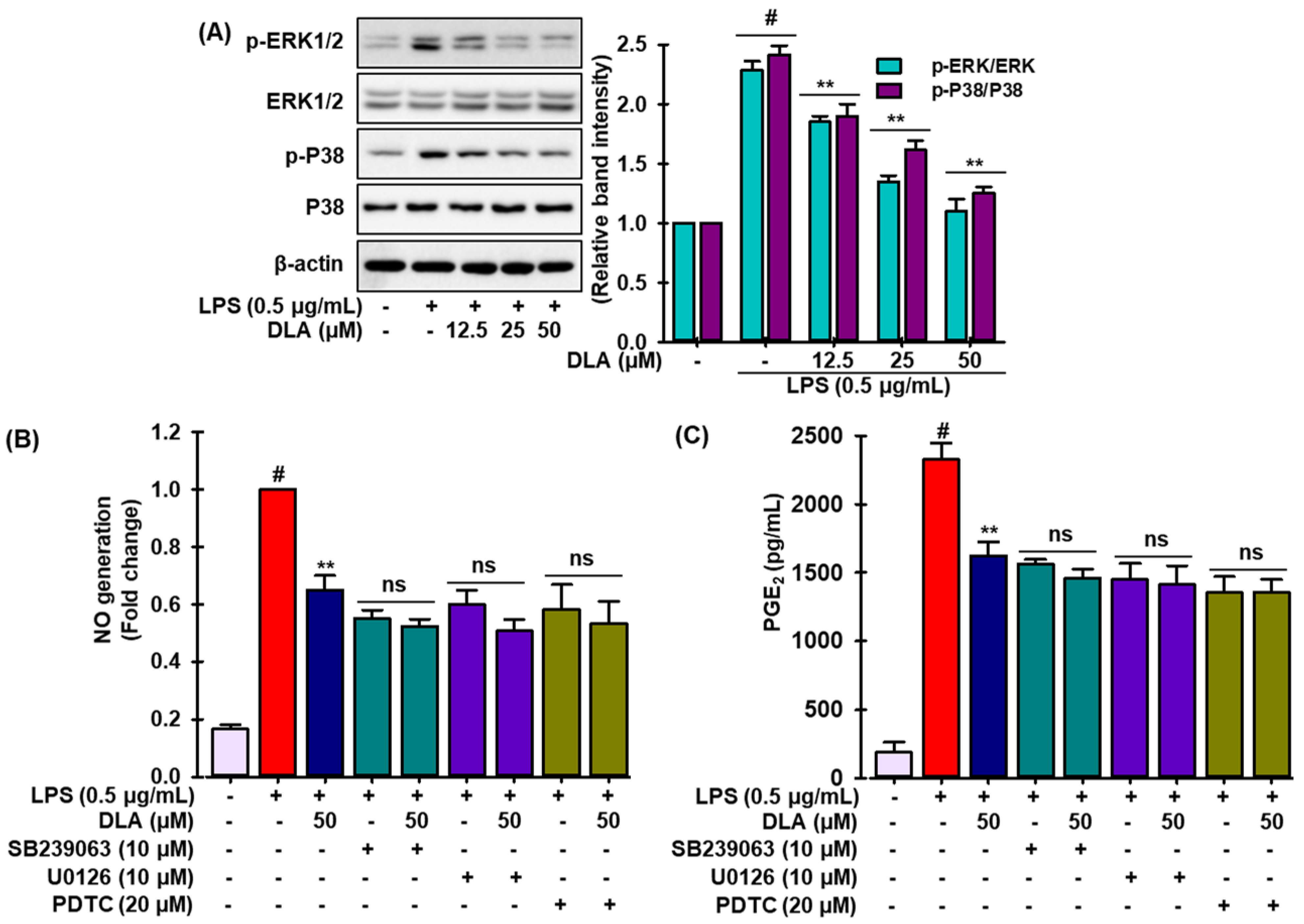 Antioxidants 11 01765 g005