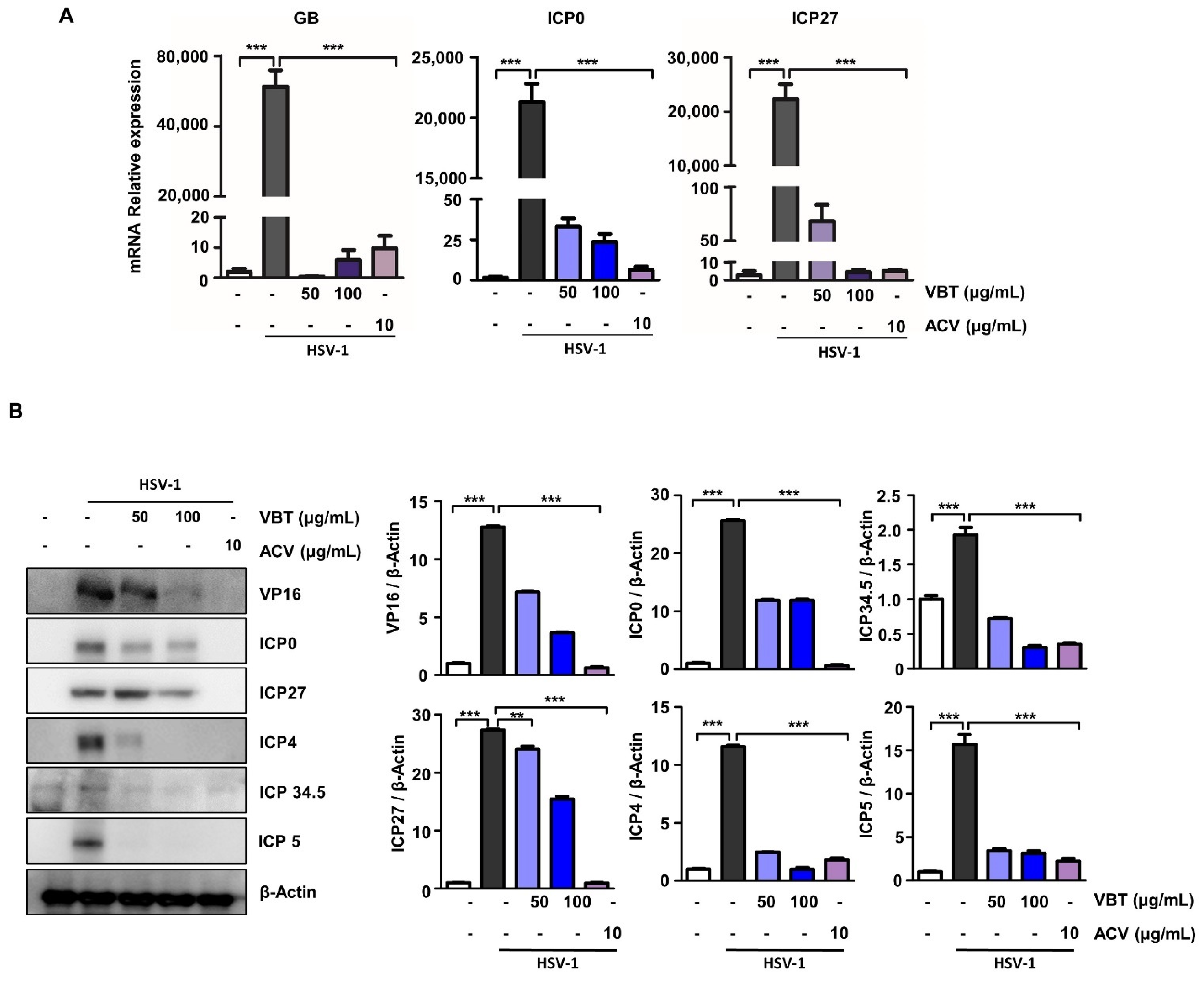 Antioxidants 11 01773 g002