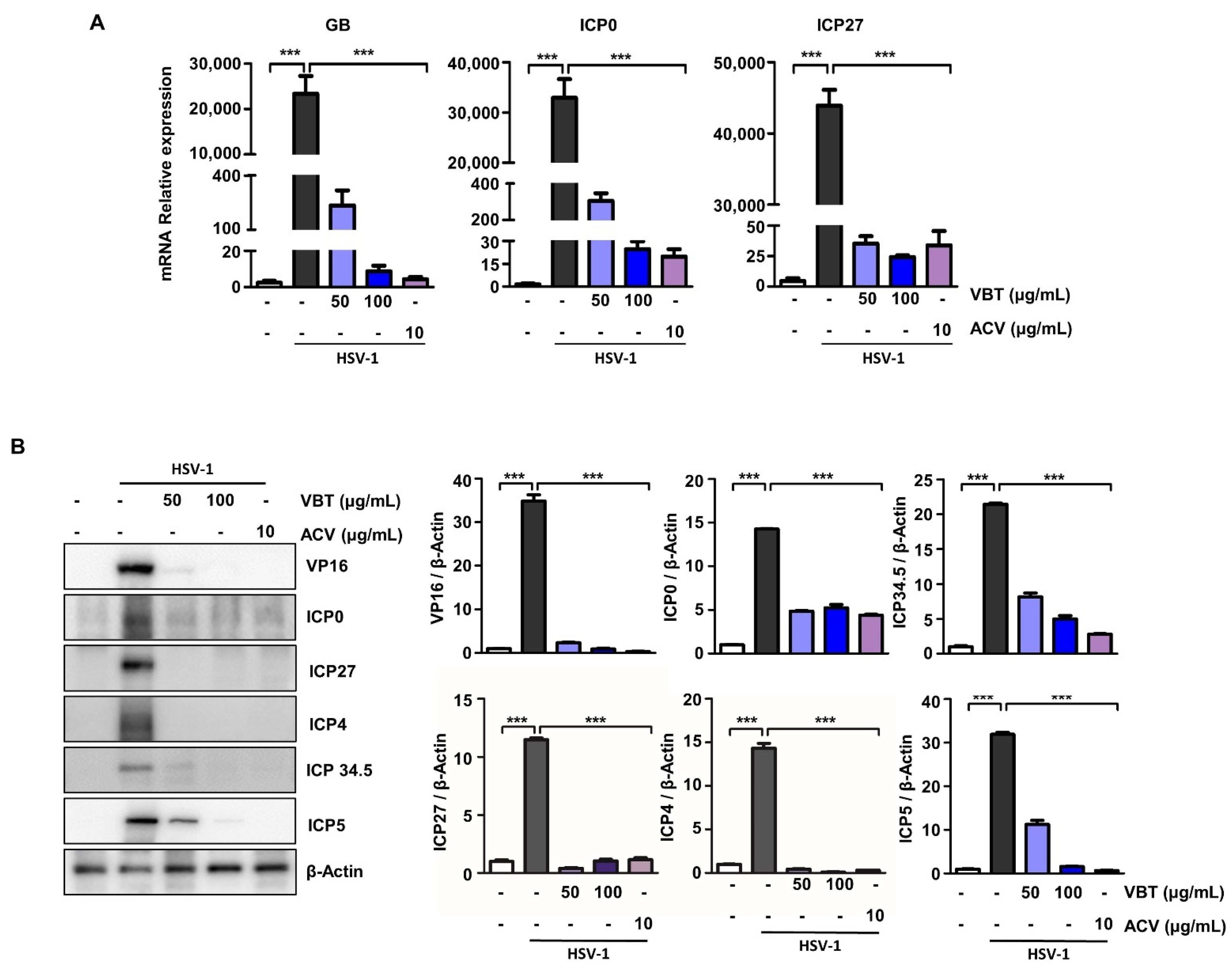 Antioxidants 11 01773 g004
