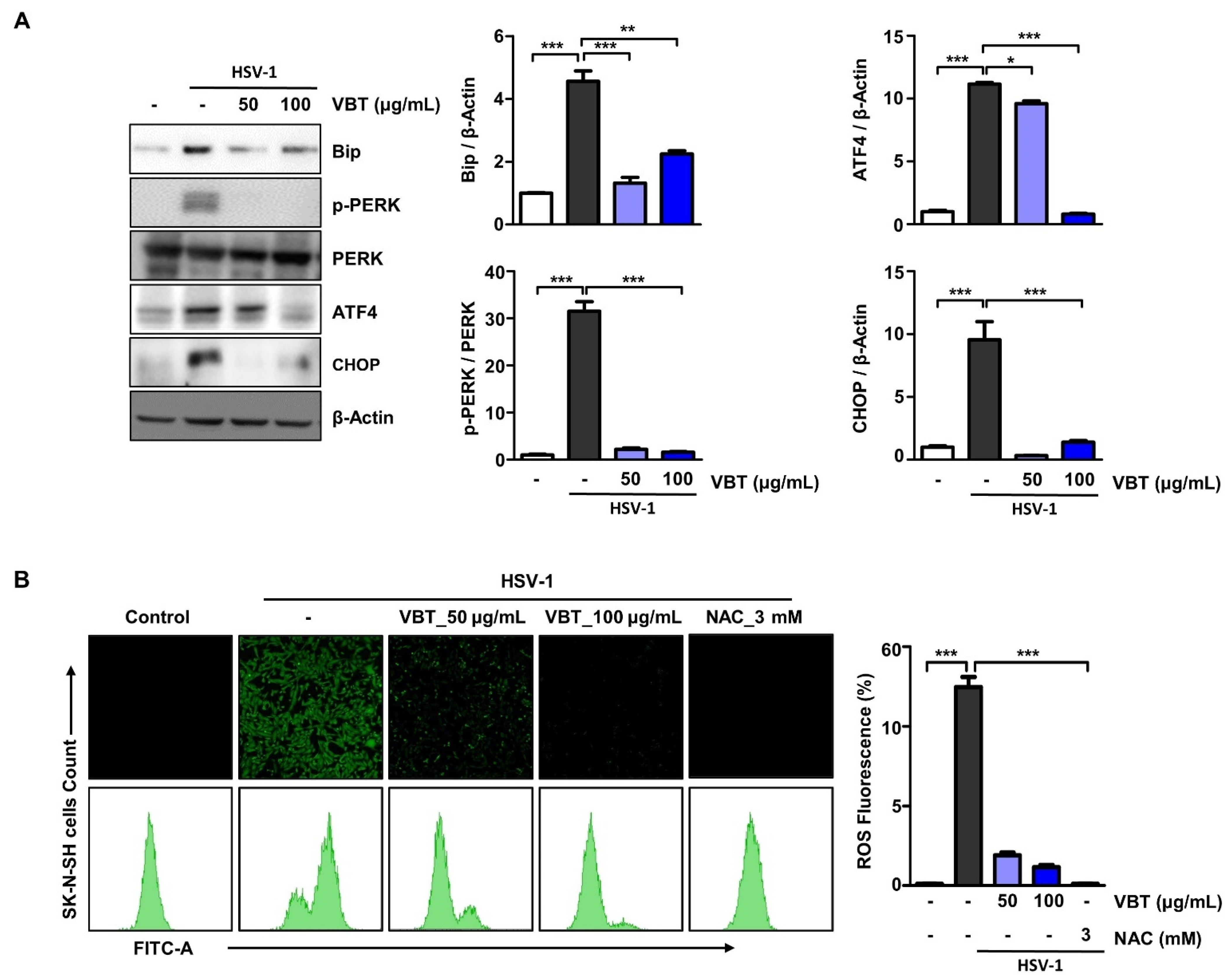 Antioxidants 11 01773 g005
