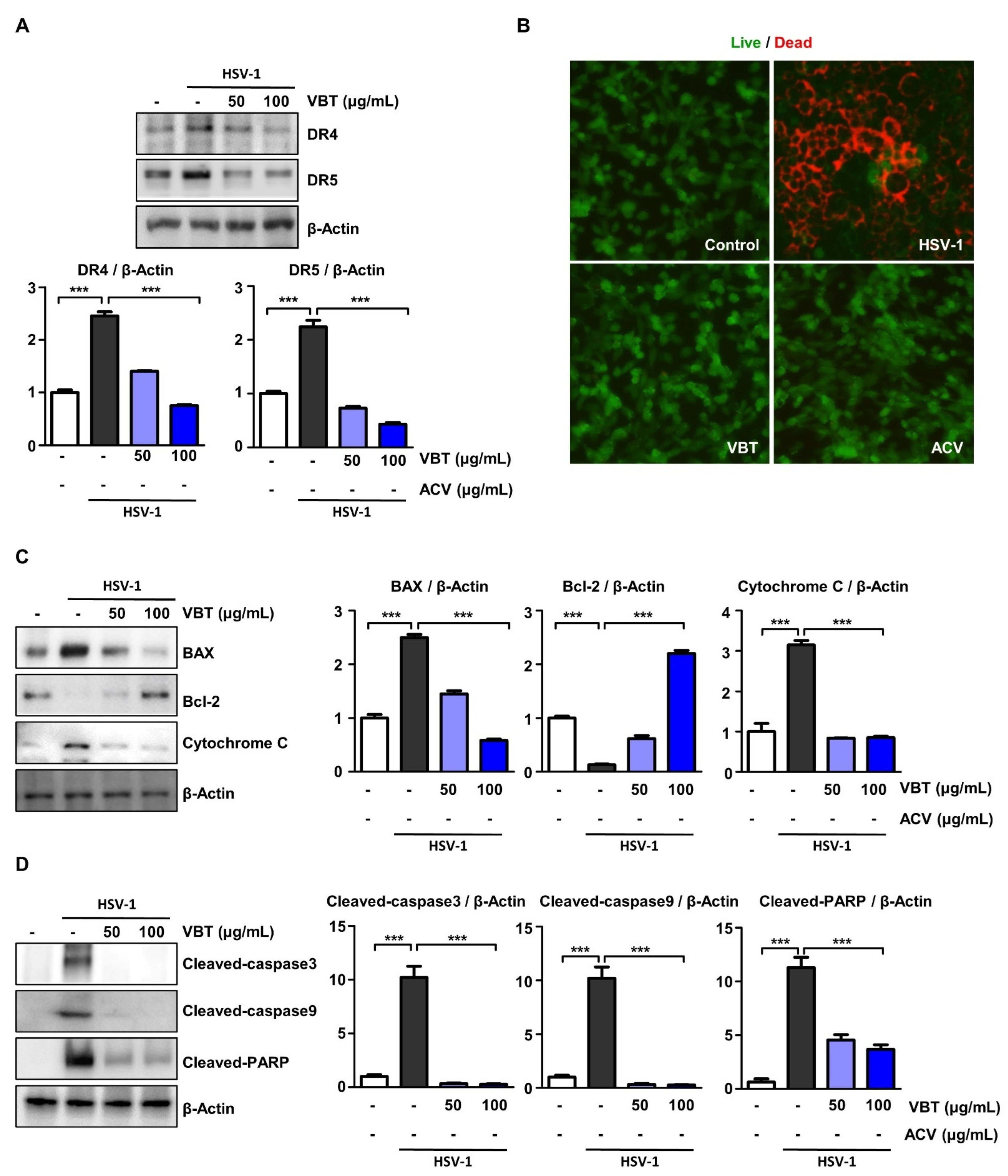 Antioxidants 11 01773 g006
