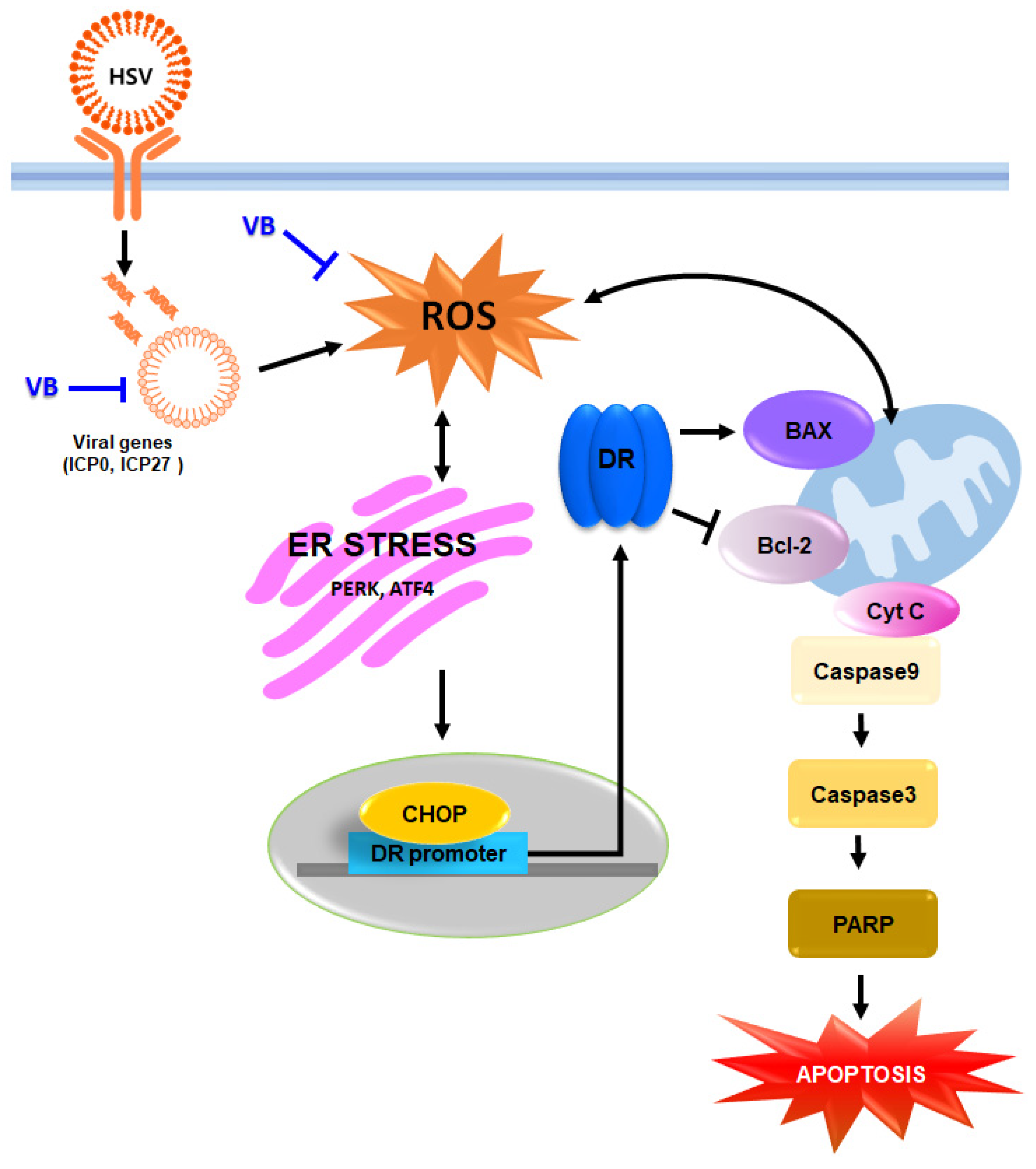 Antioxidants 11 01773 g008