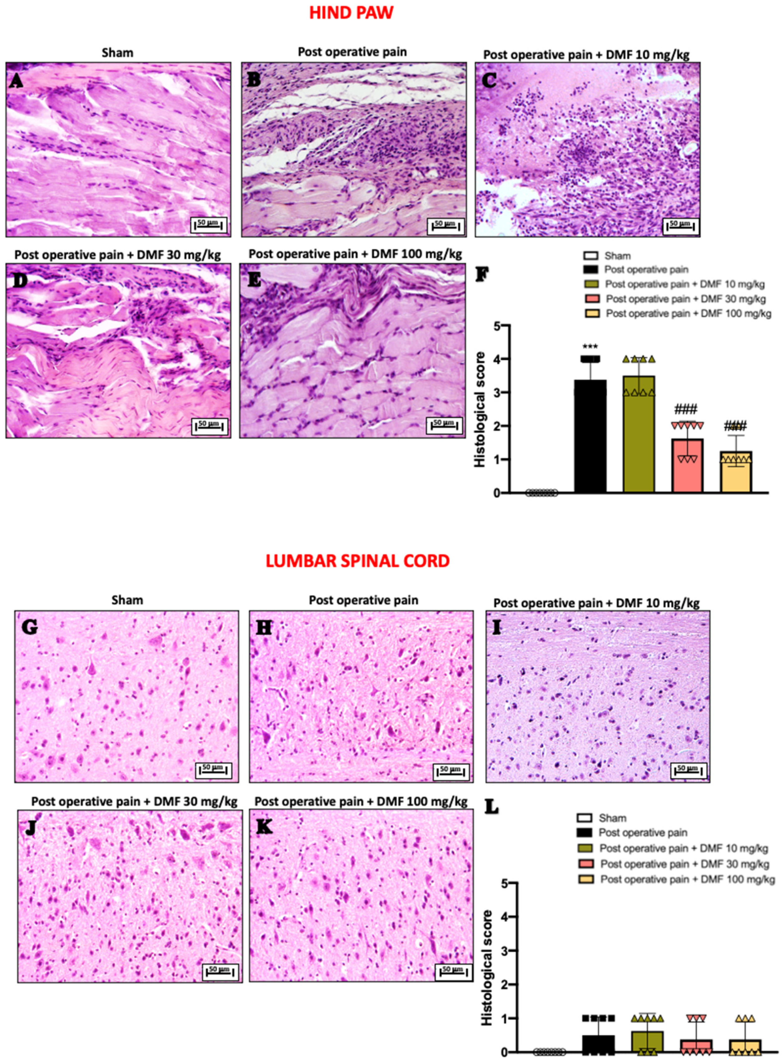 Antioxidants 11 01774 g002