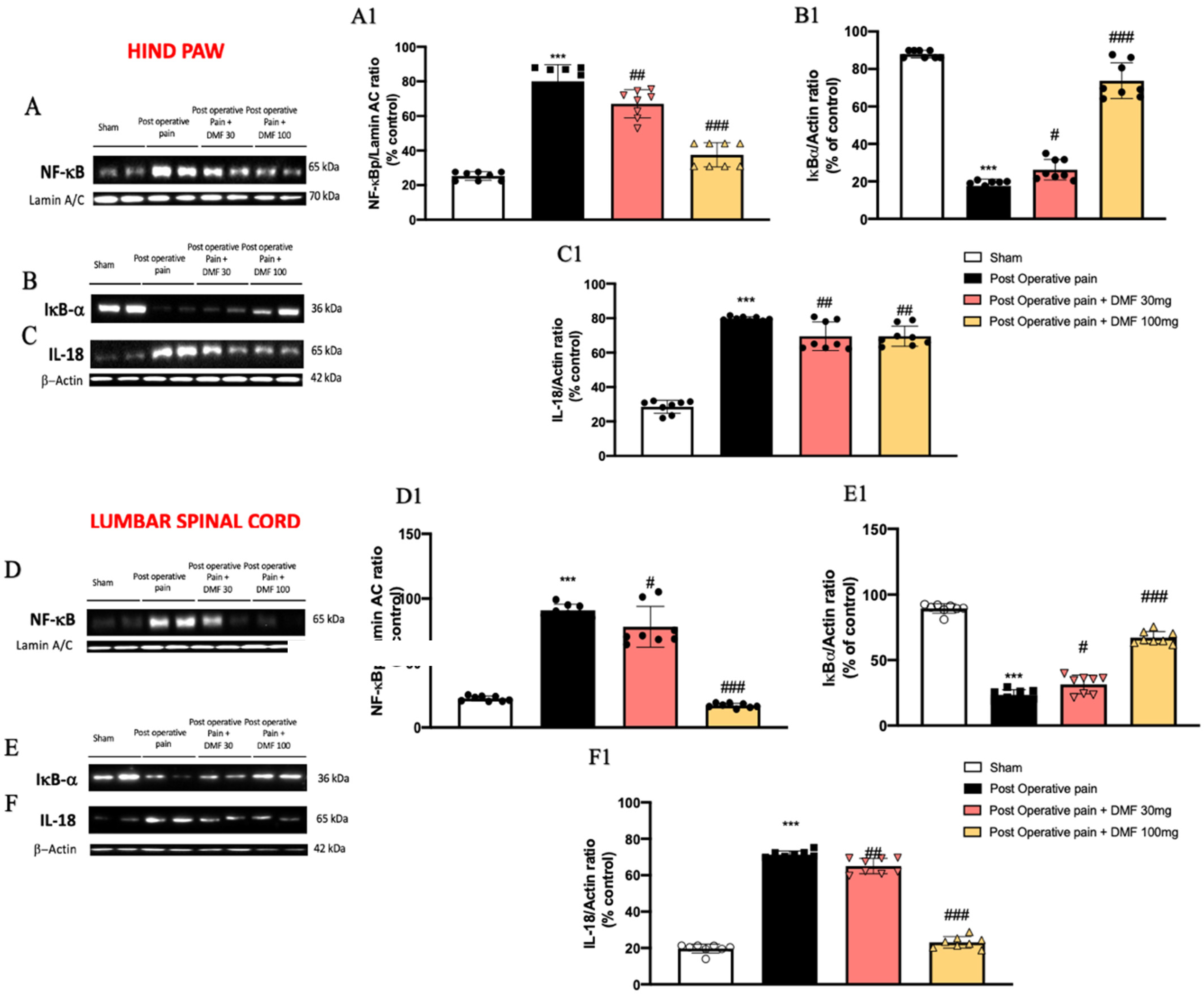 Antioxidants 11 01774 g003