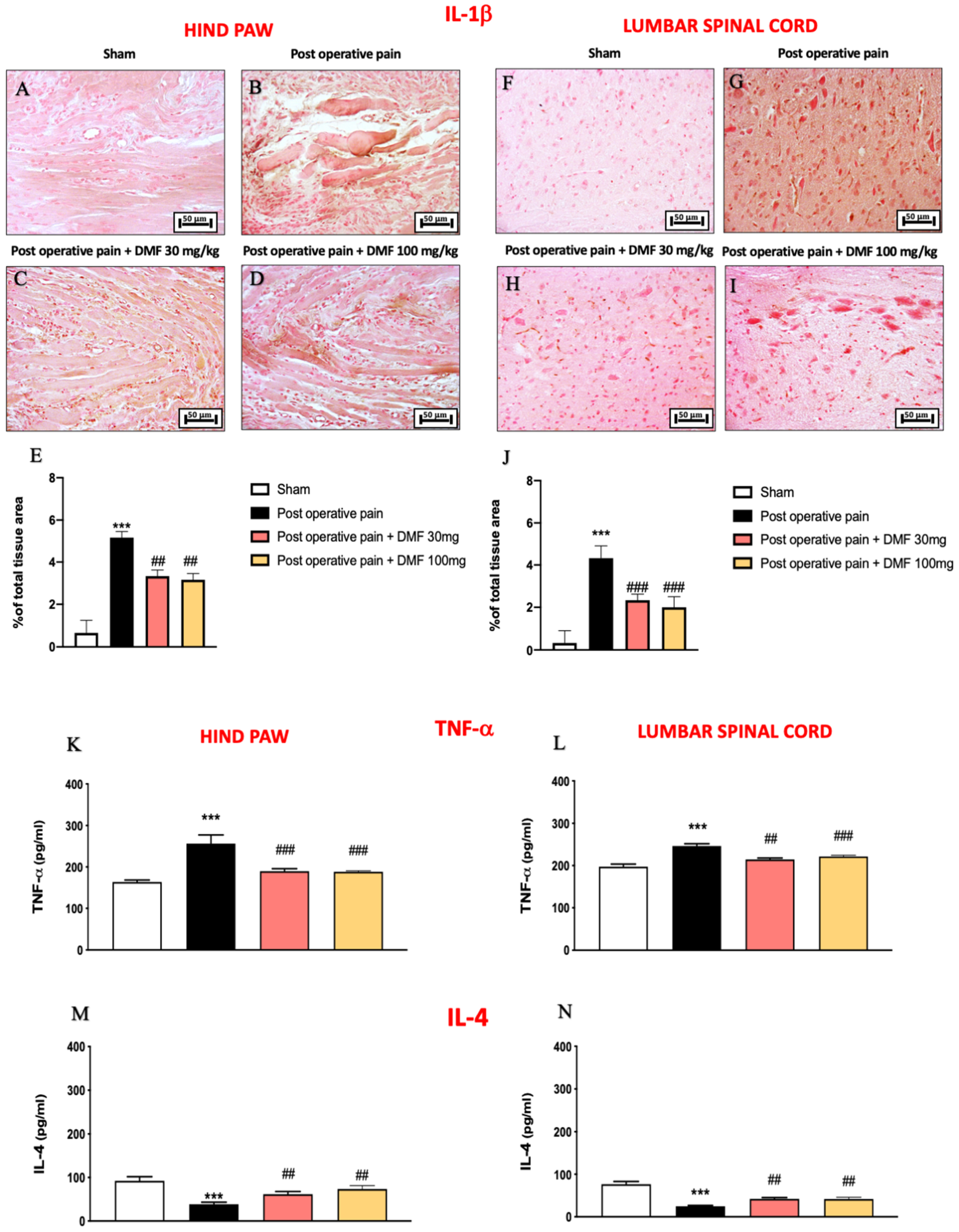 Antioxidants 11 01774 g004