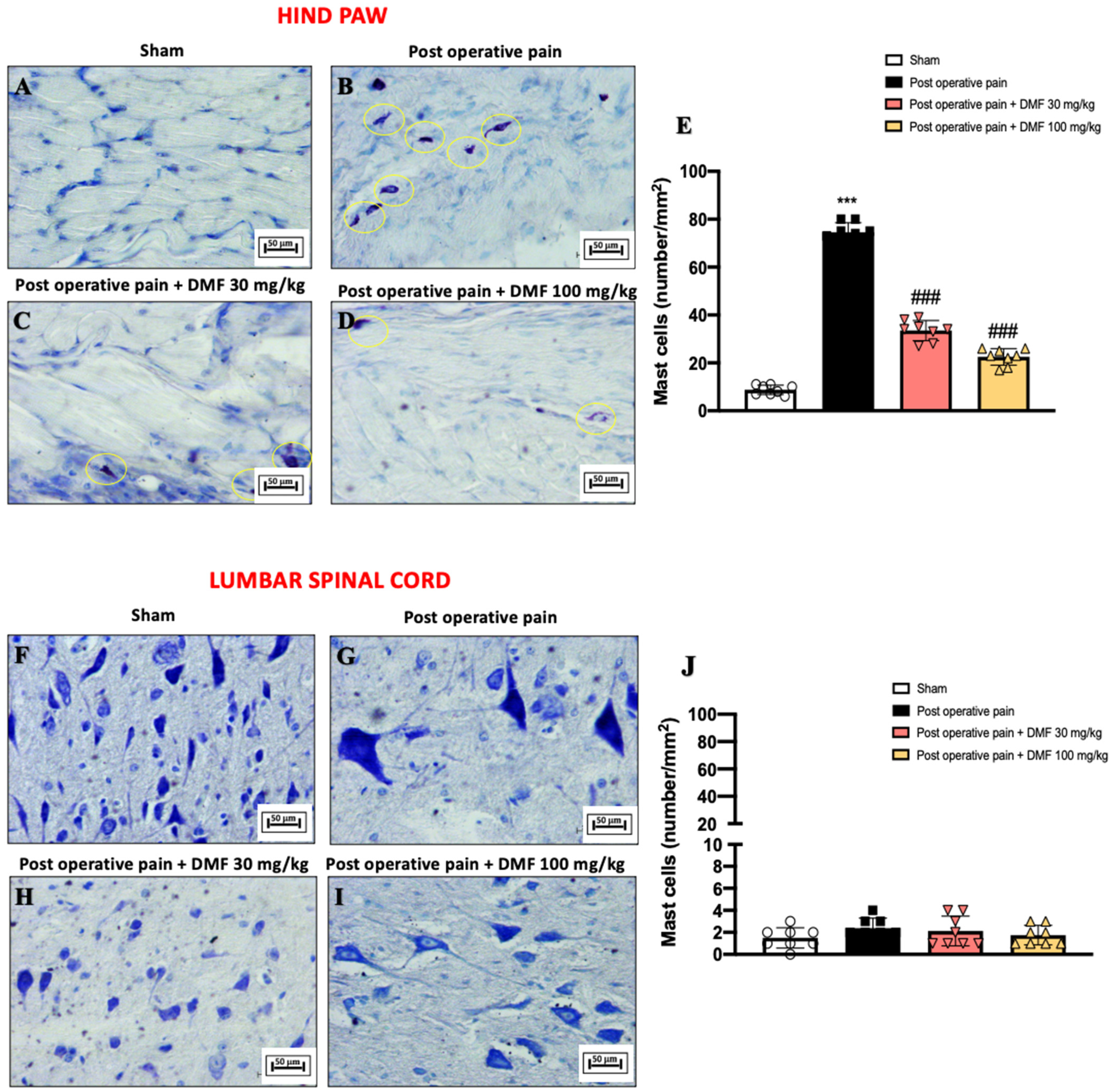 Antioxidants 11 01774 g005