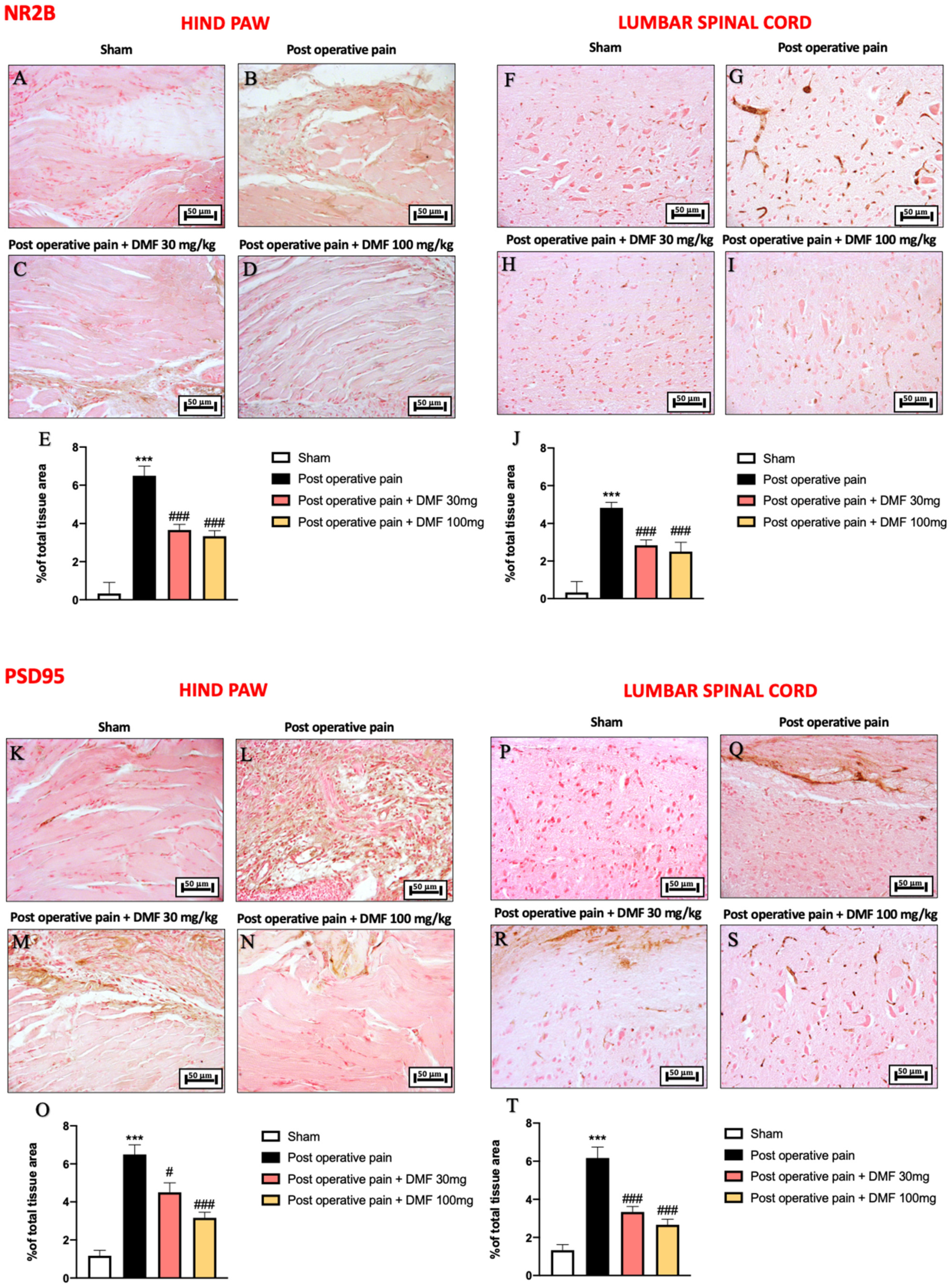 Antioxidants 11 01774 g006
