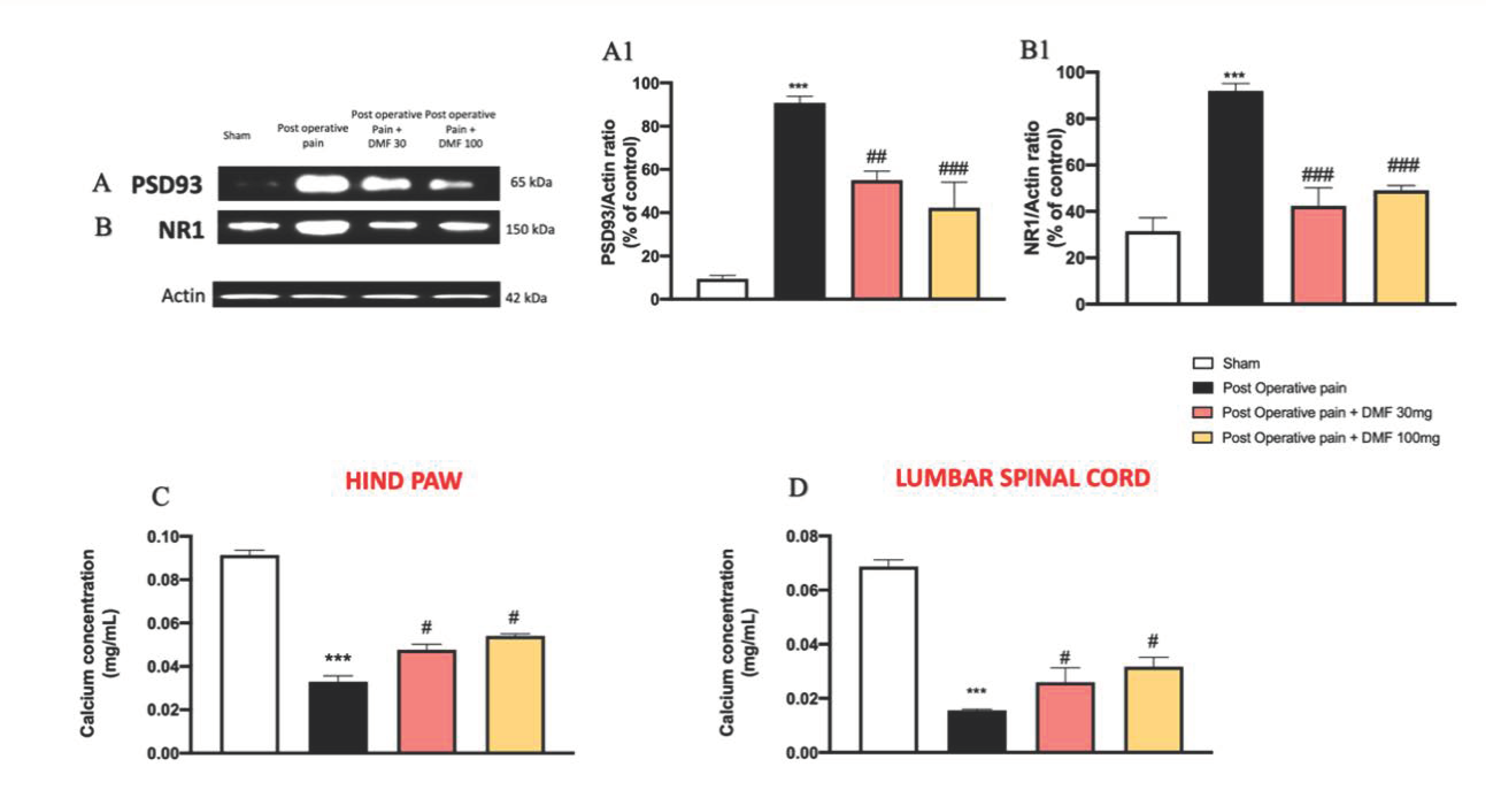 Antioxidants 11 01774 g007