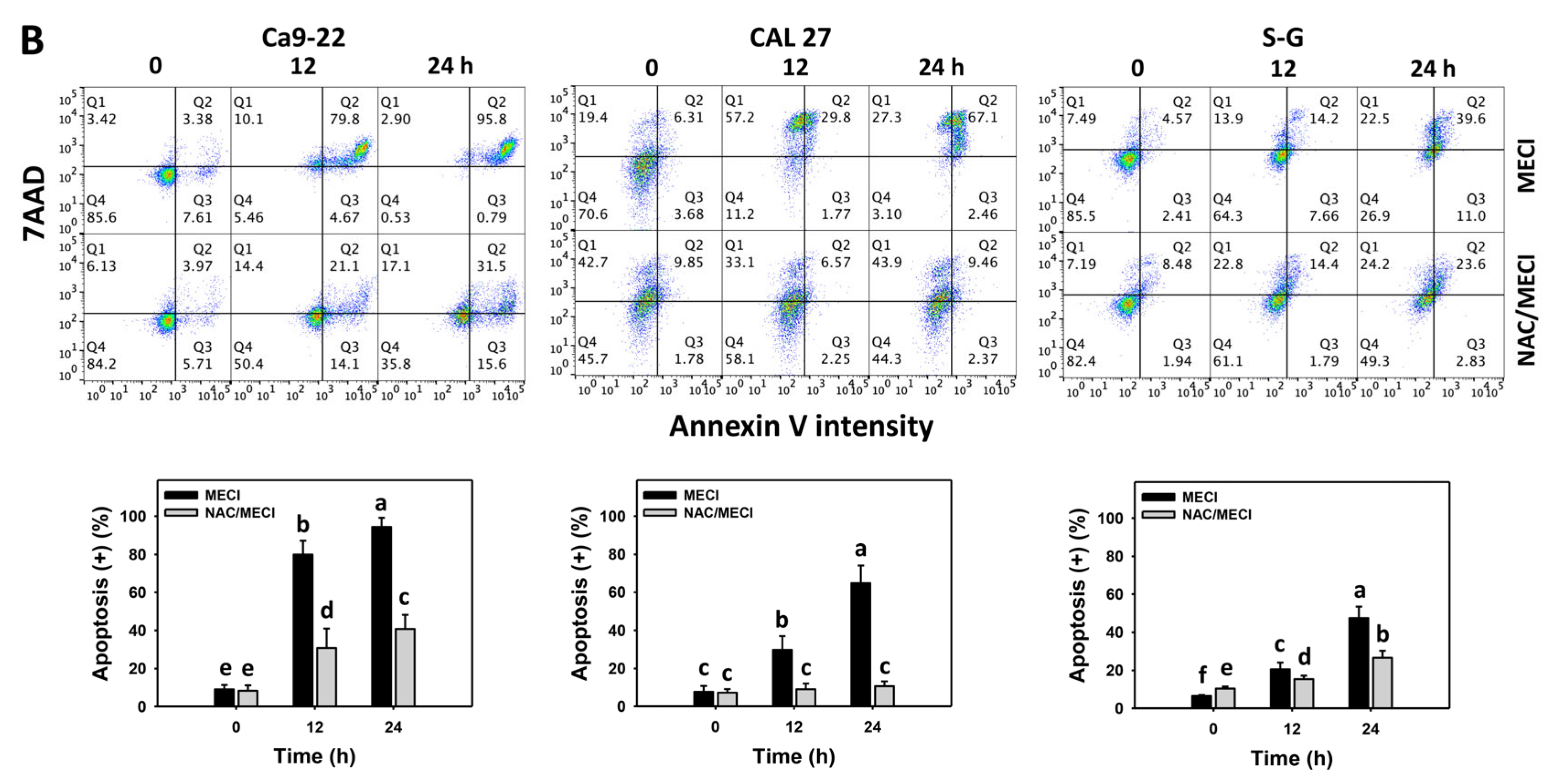 Antioxidants 11 01777 g004b