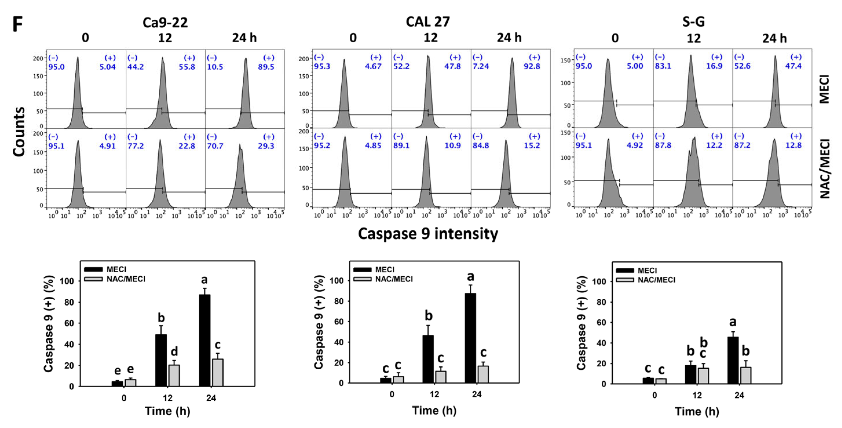 Antioxidants 11 01777 g005c