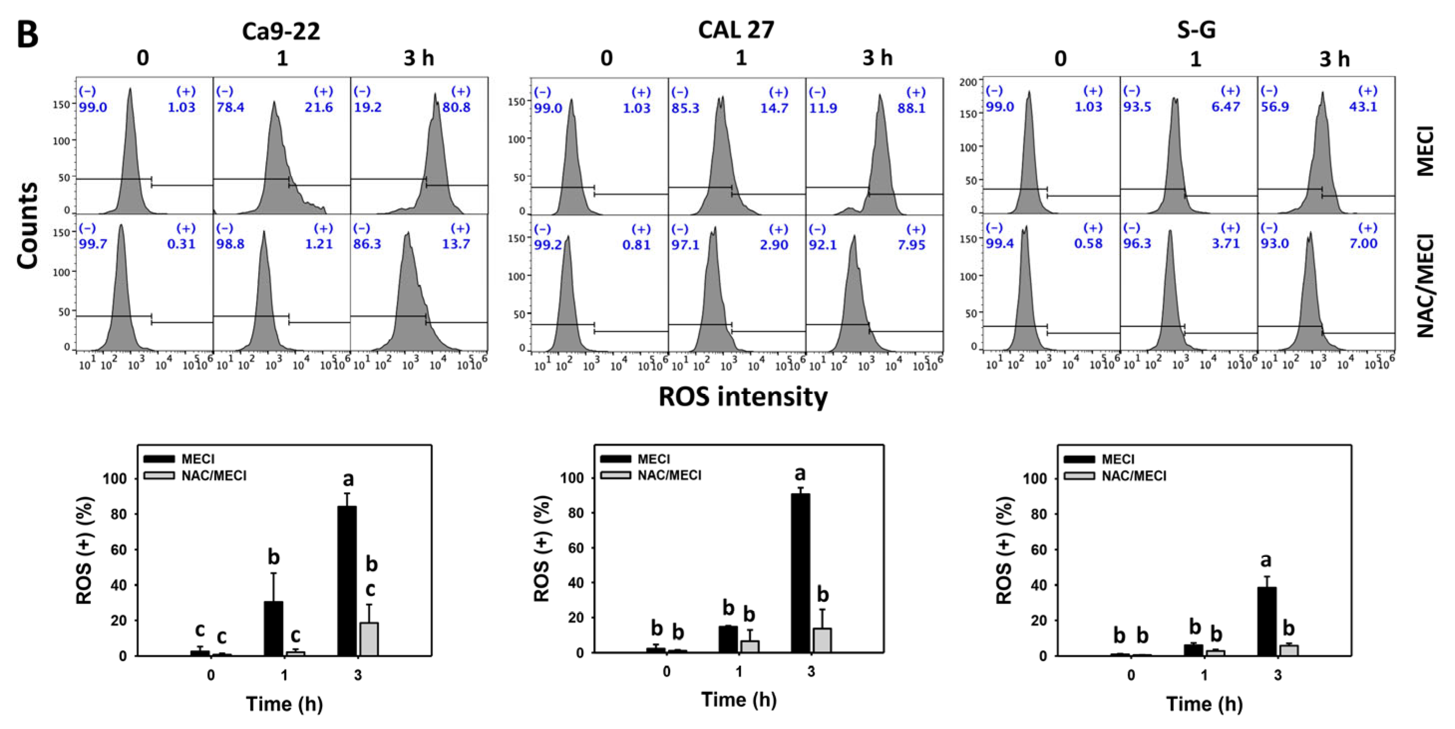 Antioxidants 11 01777 g006b