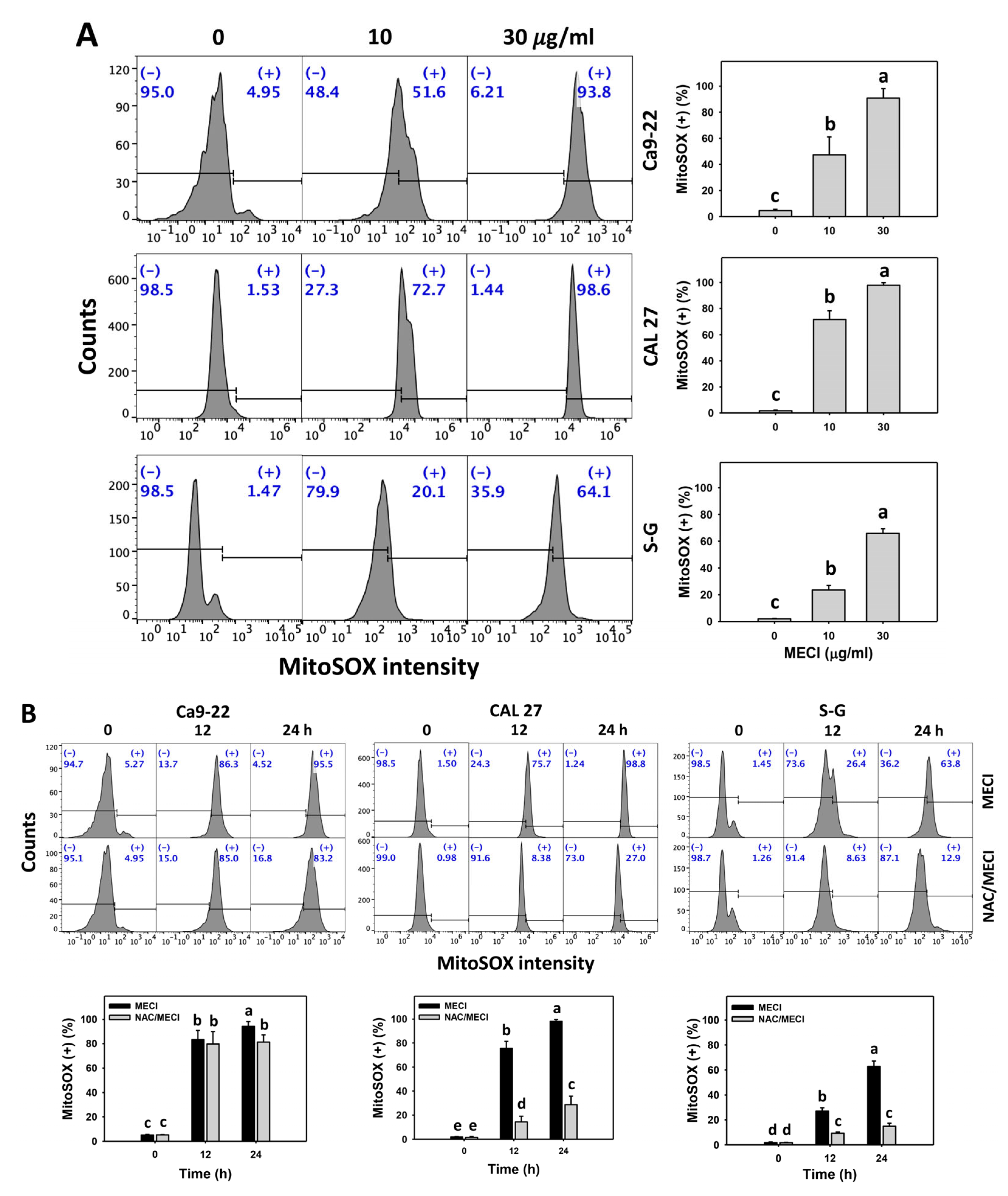 Antioxidants 11 01777 g007