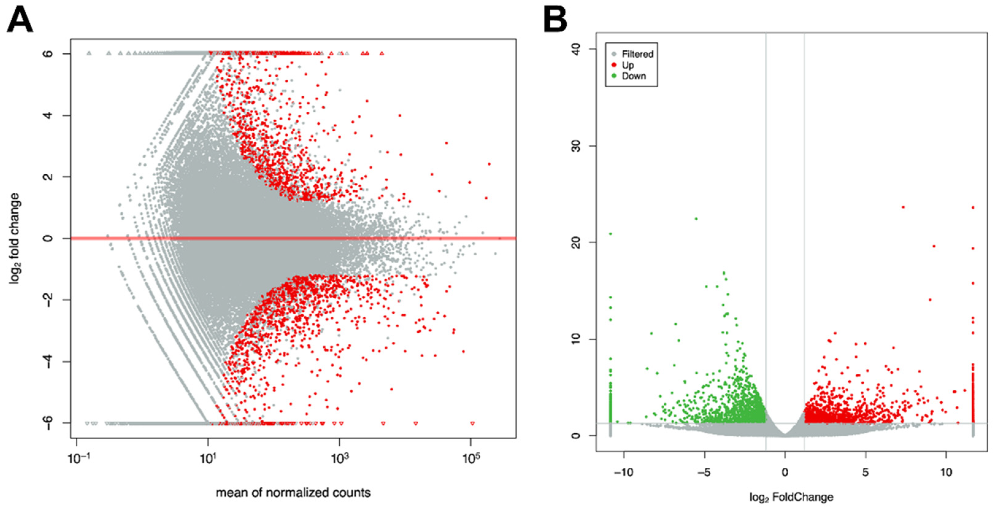 Antioxidants 11 01779 g004