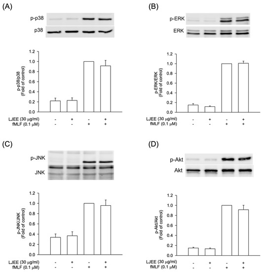 Antioxidants 11 01781 g004