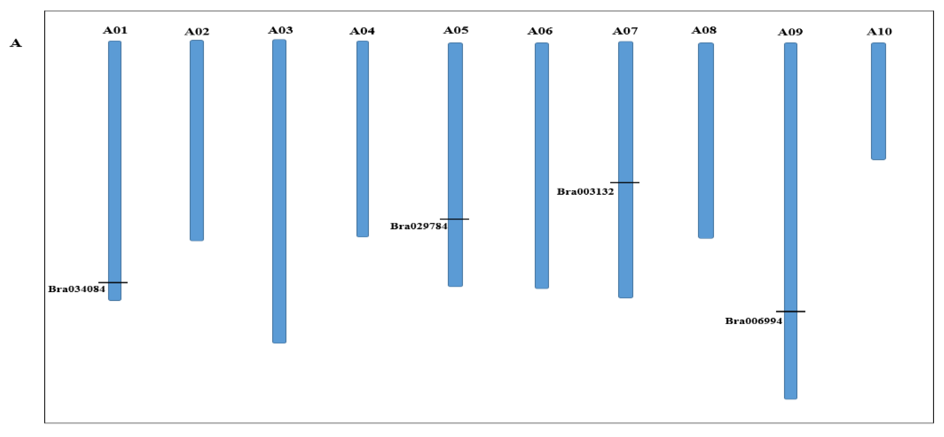 Antioxidants 11 01782 g001a