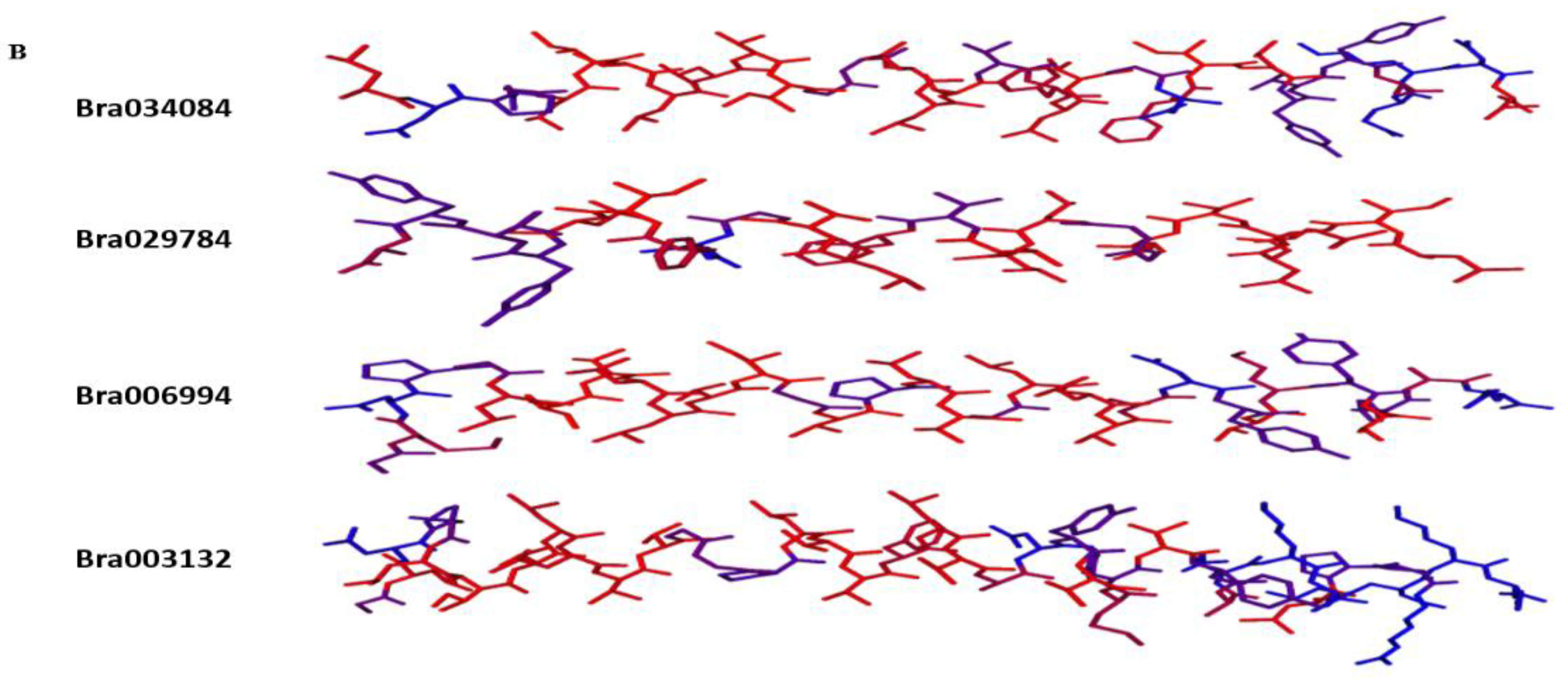 Antioxidants 11 01782 g001b