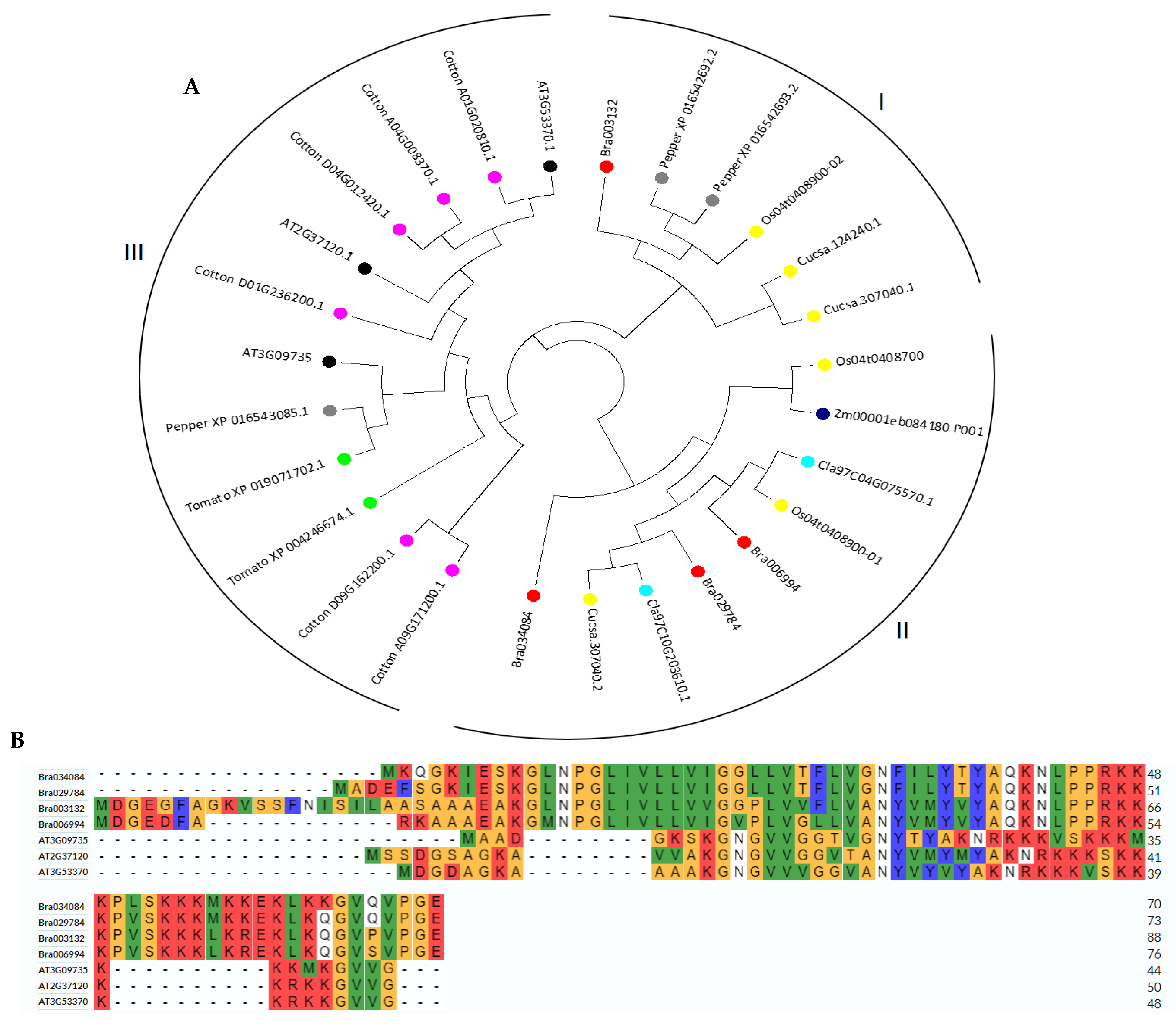 Antioxidants 11 01782 g002