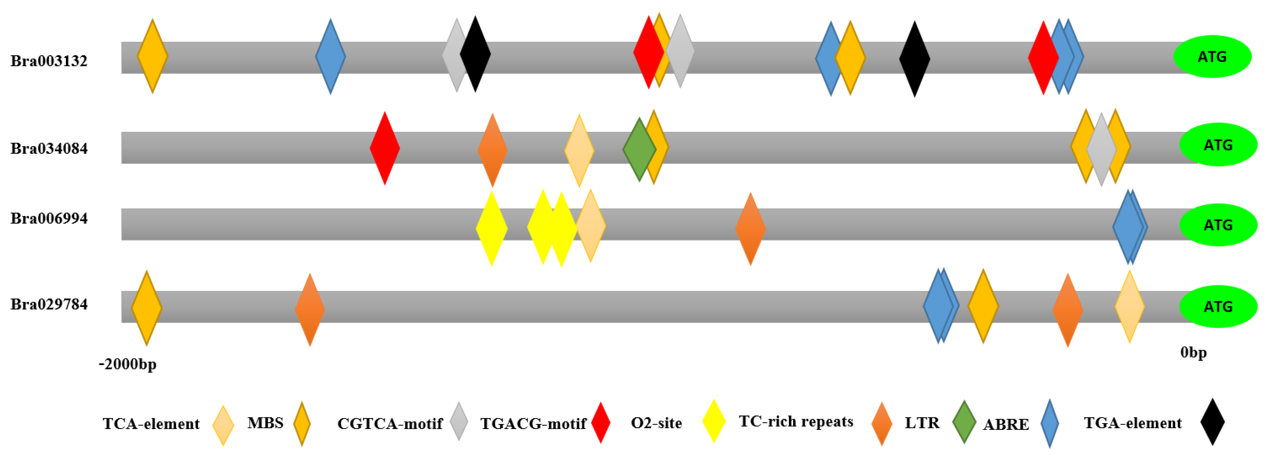 Antioxidants 11 01782 g003